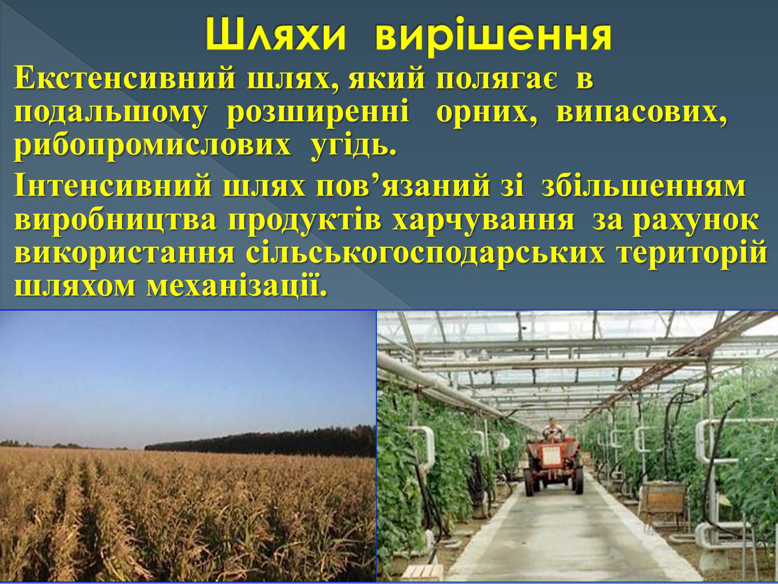 Презентація на тему «Продовольча проблема людства» - Слайд #11