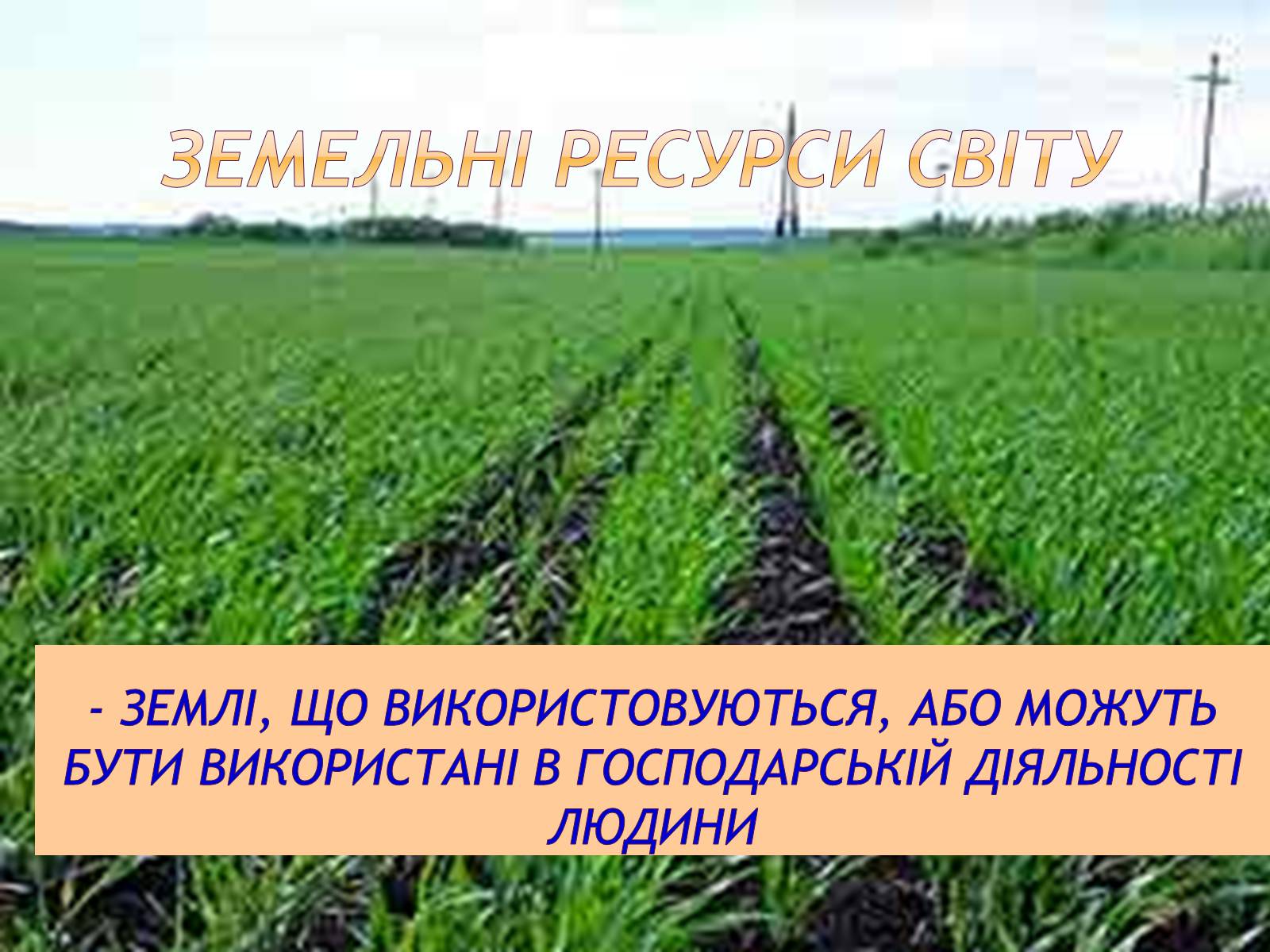 Презентація на тему «Природні ресурси» (варіант 1) - Слайд #22