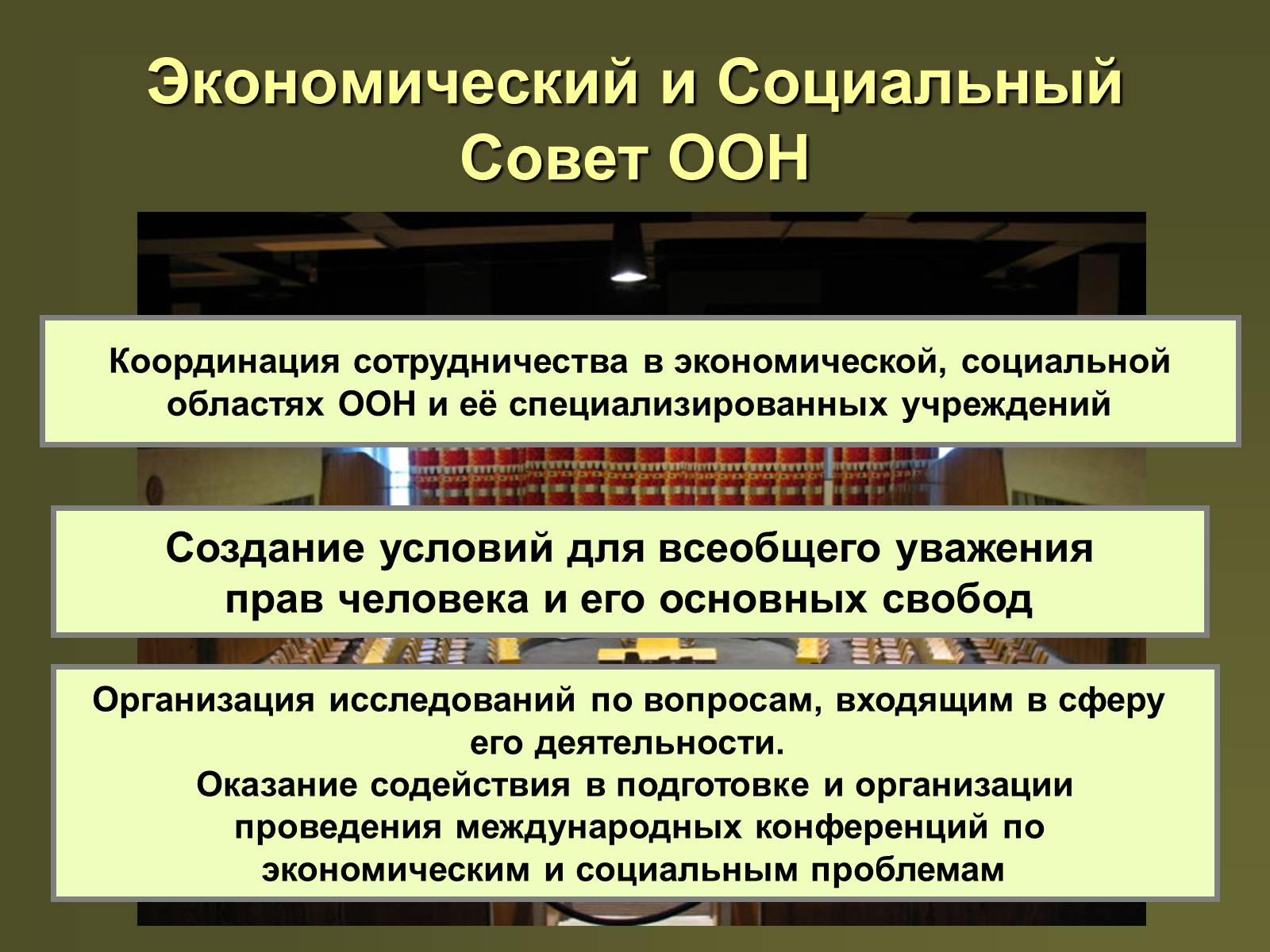 Презентація на тему «Международная защита прав человека» (варіант 2) - Слайд #14