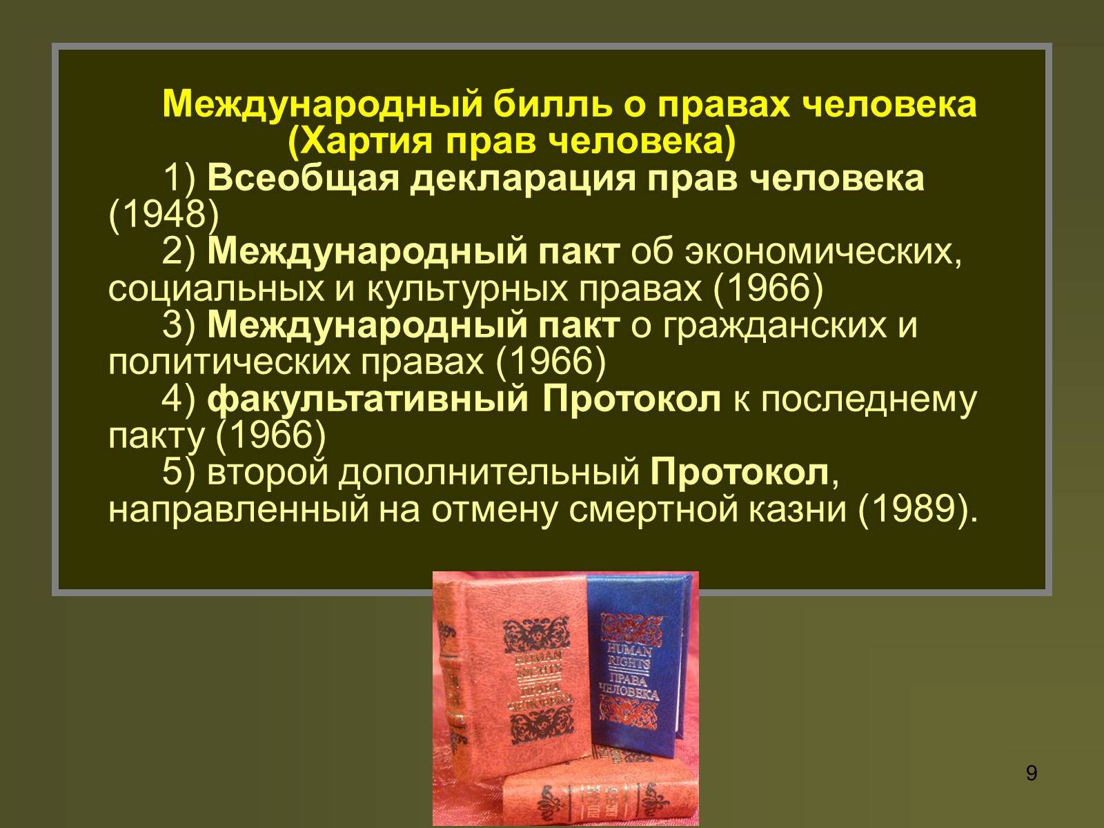 Презентація на тему «Международная защита прав человека» (варіант 2) - Слайд #9