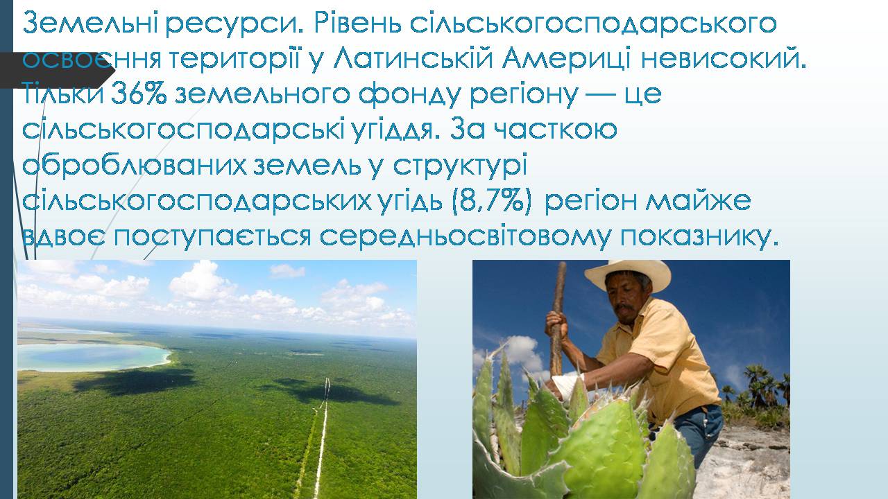 Презентація на тему «Латинська Америка» (варіант 6) - Слайд #8