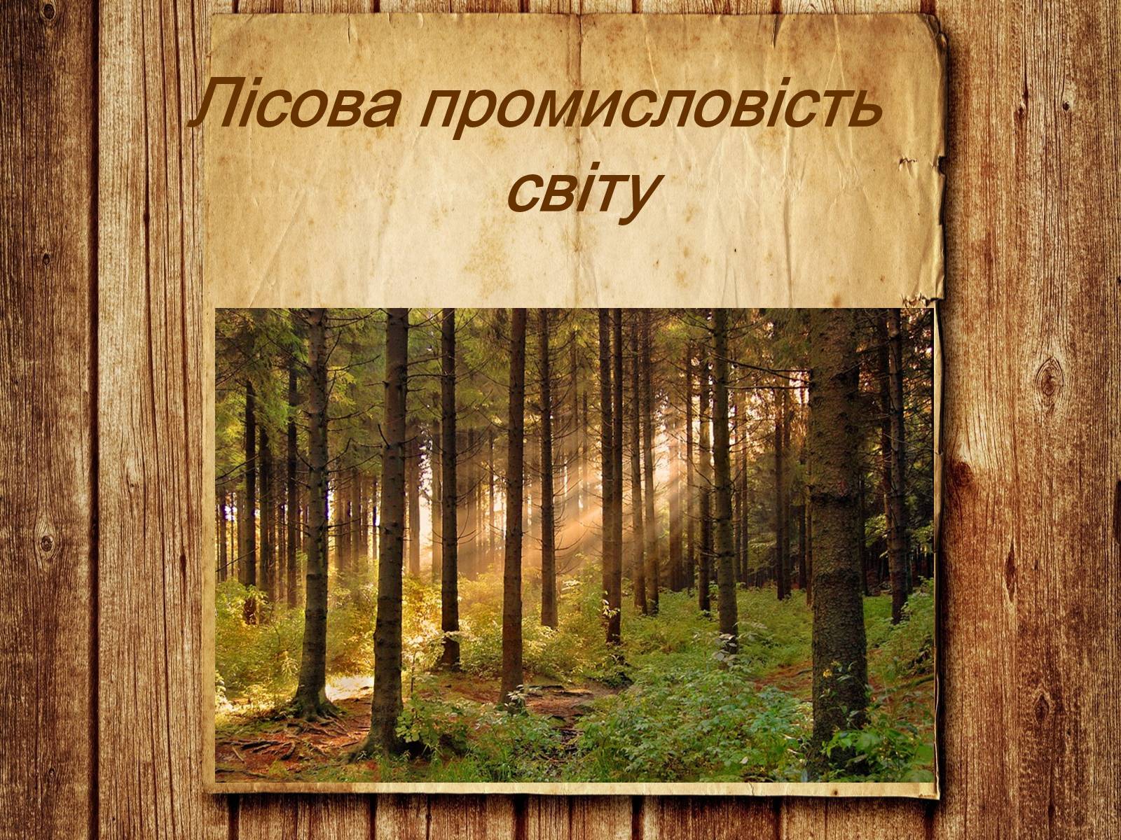 Презентація на тему «Лісова промисловість світу» - Слайд #1