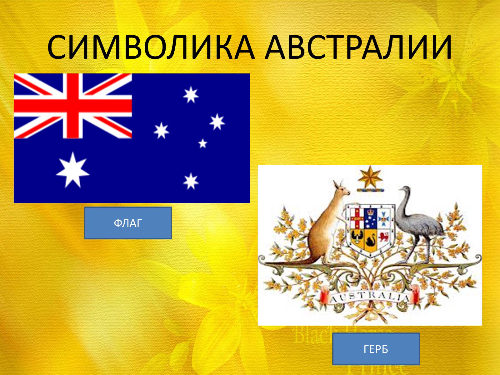 Какой символ австралии. Герб Австралии. Государственные символы Австралии. Герб на аву.