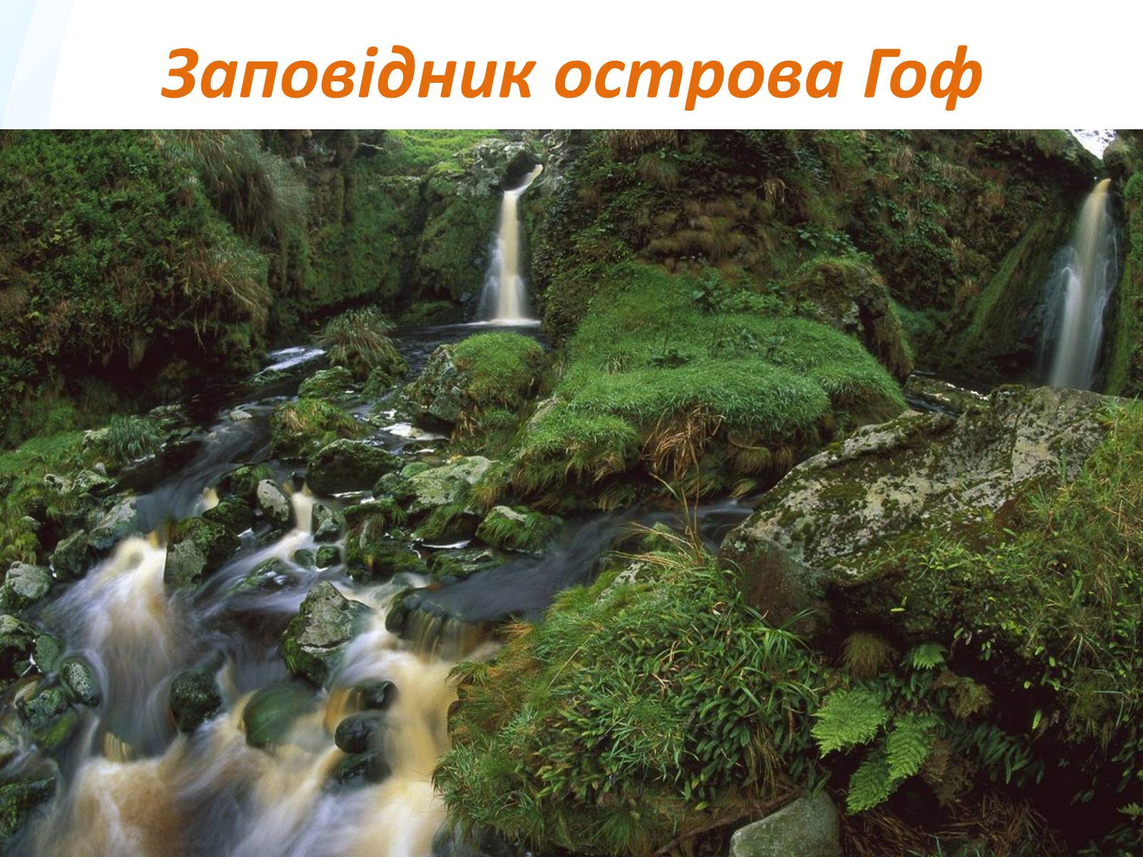 Презентація на тему «Заповідники та національні парки Великобританії» - Слайд #8