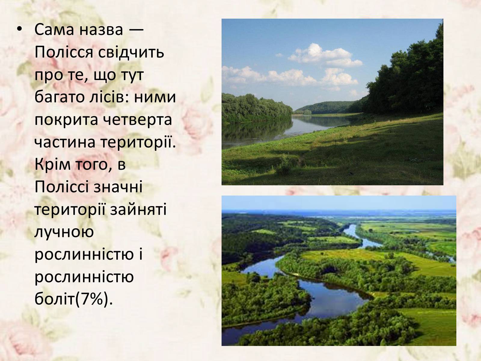 Презентація на тему «Дари Українського Полісся» - Слайд #3