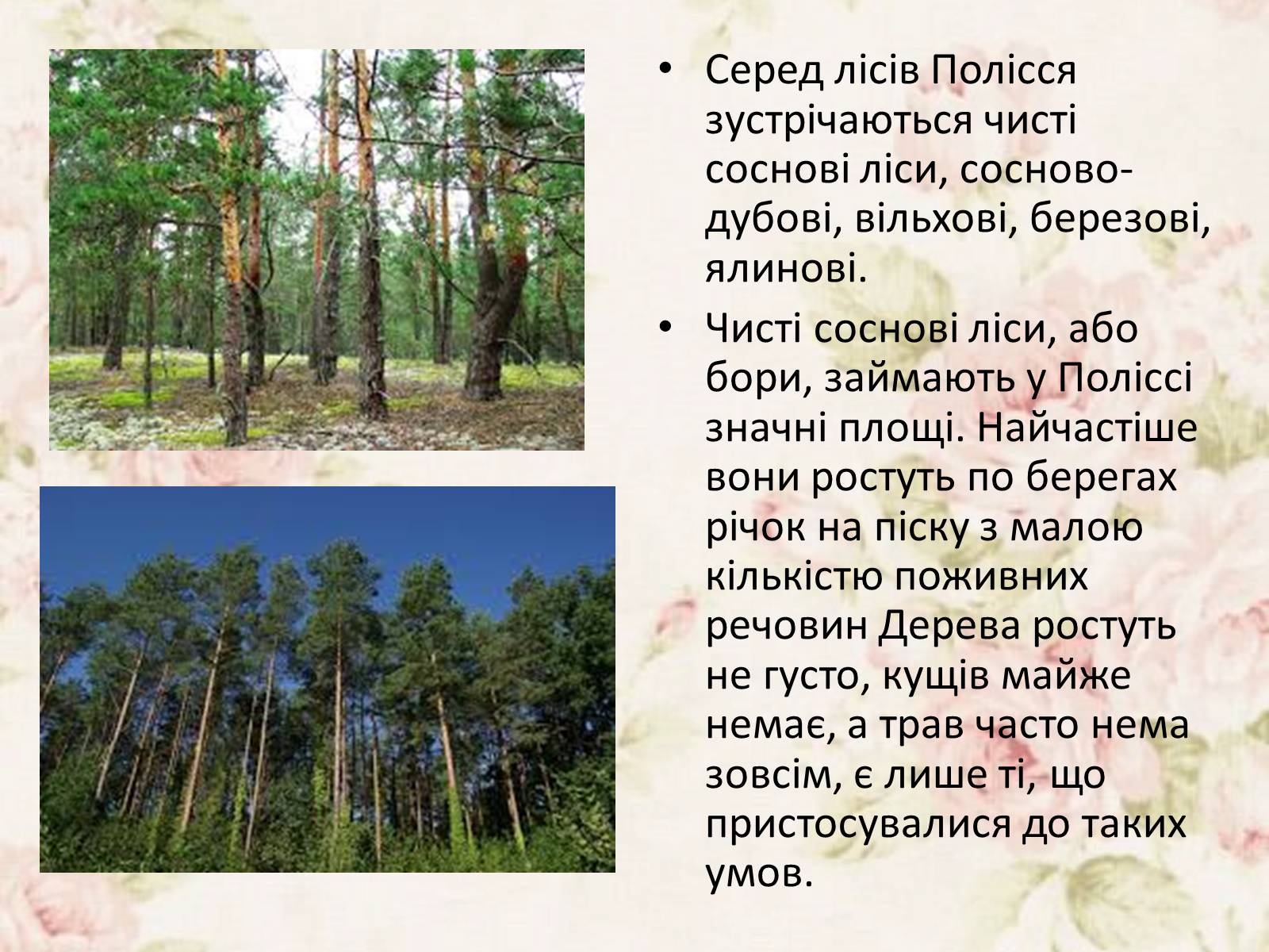 Презентація на тему «Дари Українського Полісся» - Слайд #4