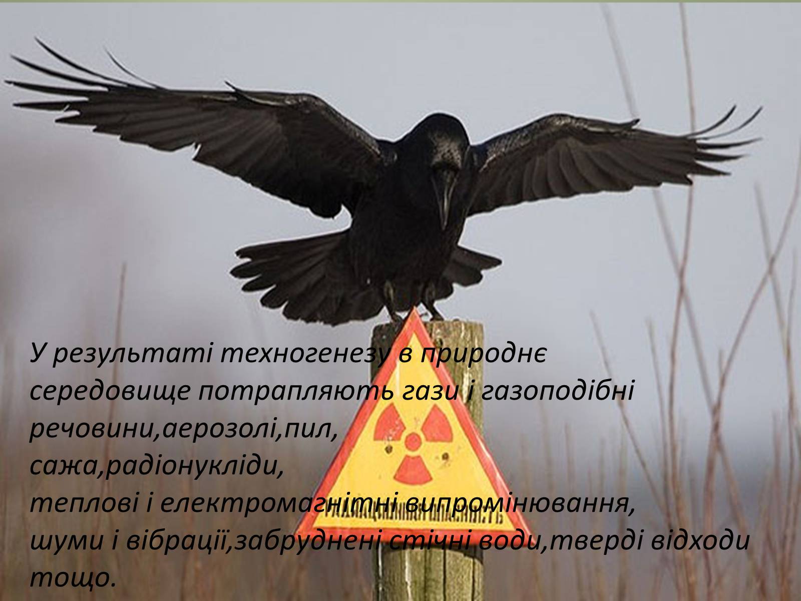 Презентація на тему «Основні антропогенні джерела забруднення» - Слайд #4