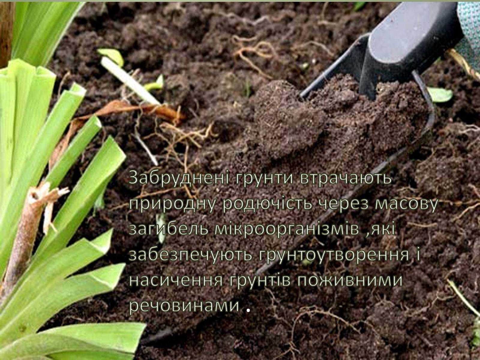 Презентація на тему «Основні антропогенні джерела забруднення» - Слайд #8