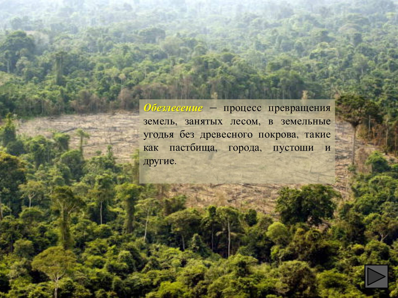 Презентація на тему «Глобальные экологические проблемы» (варіант 1) - Слайд #33