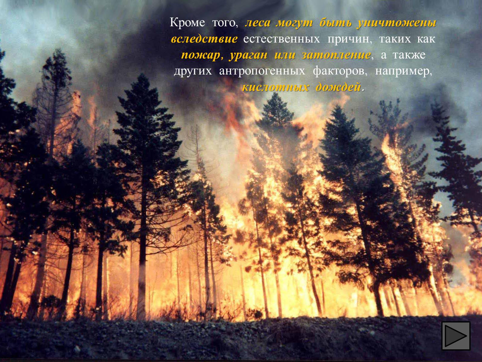 Презентація на тему «Глобальные экологические проблемы» (варіант 1) - Слайд #35