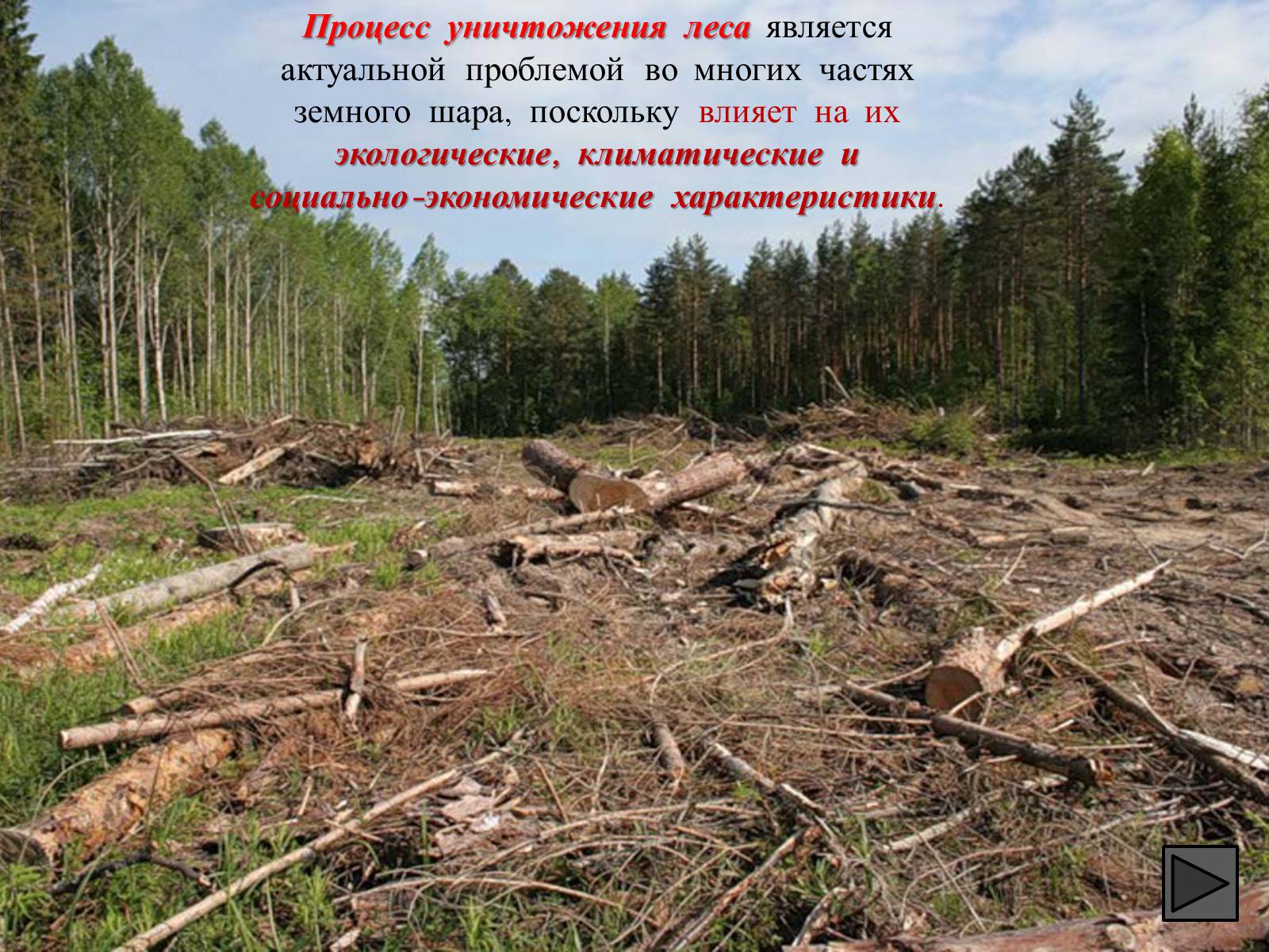 Презентація на тему «Глобальные экологические проблемы» (варіант 1) - Слайд #36