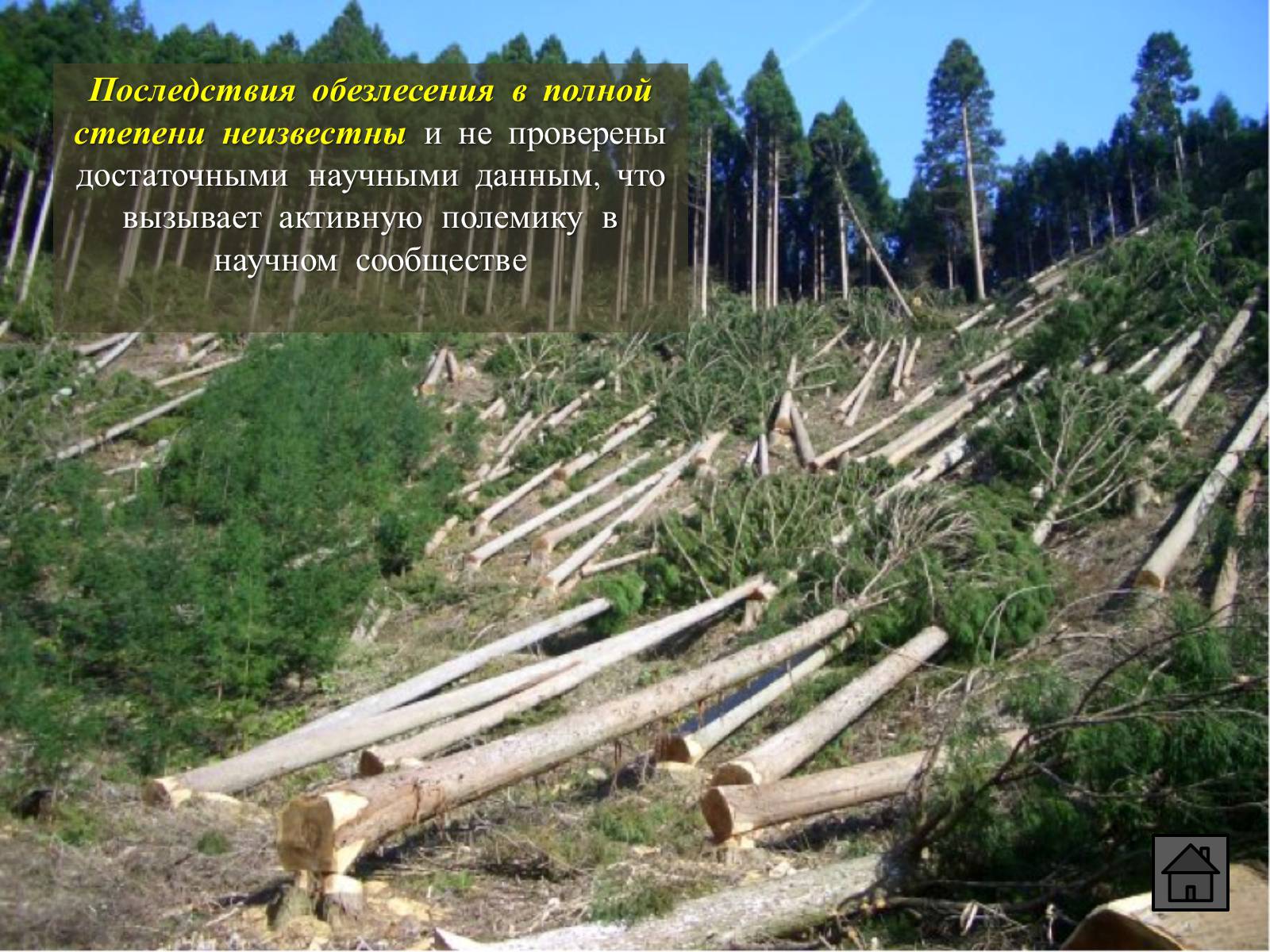 Презентація на тему «Глобальные экологические проблемы» (варіант 1) - Слайд #38