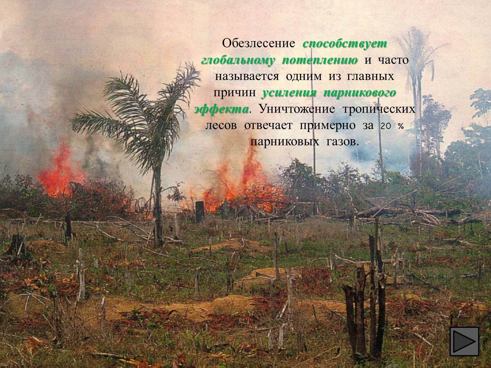 Презентація на тему «Глобальные экологические проблемы» (варіант 1) - Слайд #48