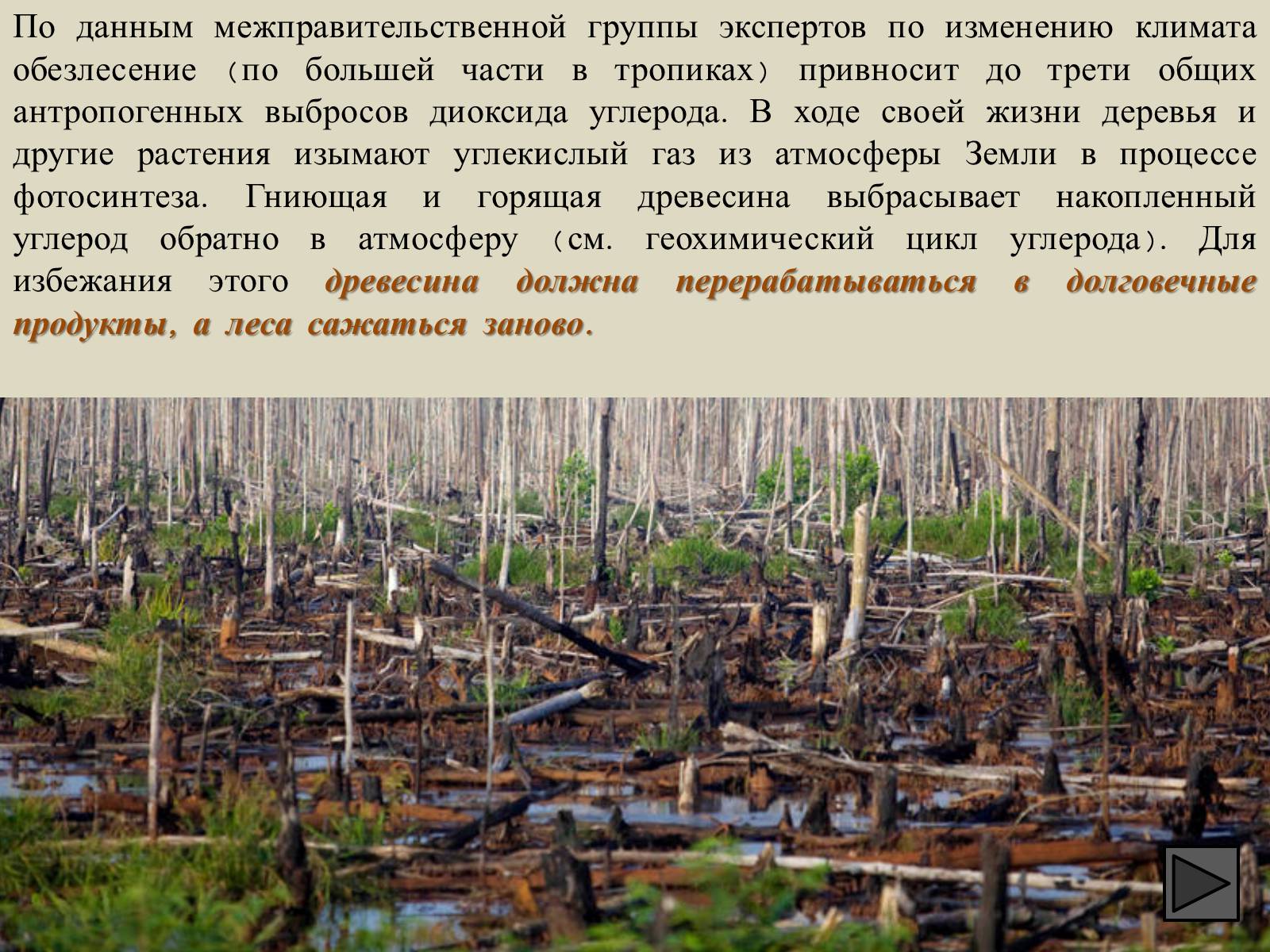 Презентація на тему «Глобальные экологические проблемы» (варіант 1) - Слайд #49