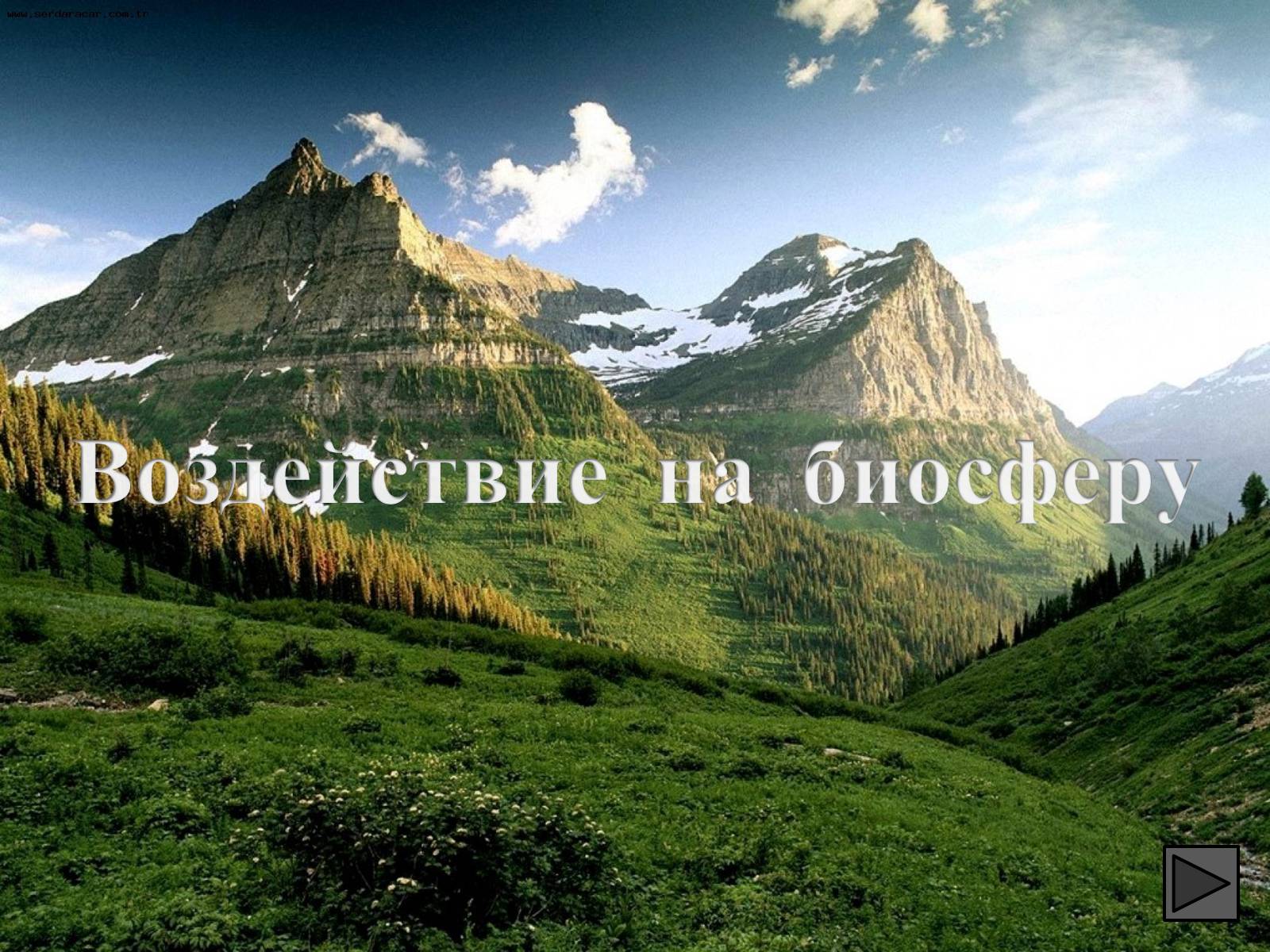 Презентація на тему «Глобальные экологические проблемы» (варіант 1) - Слайд #55