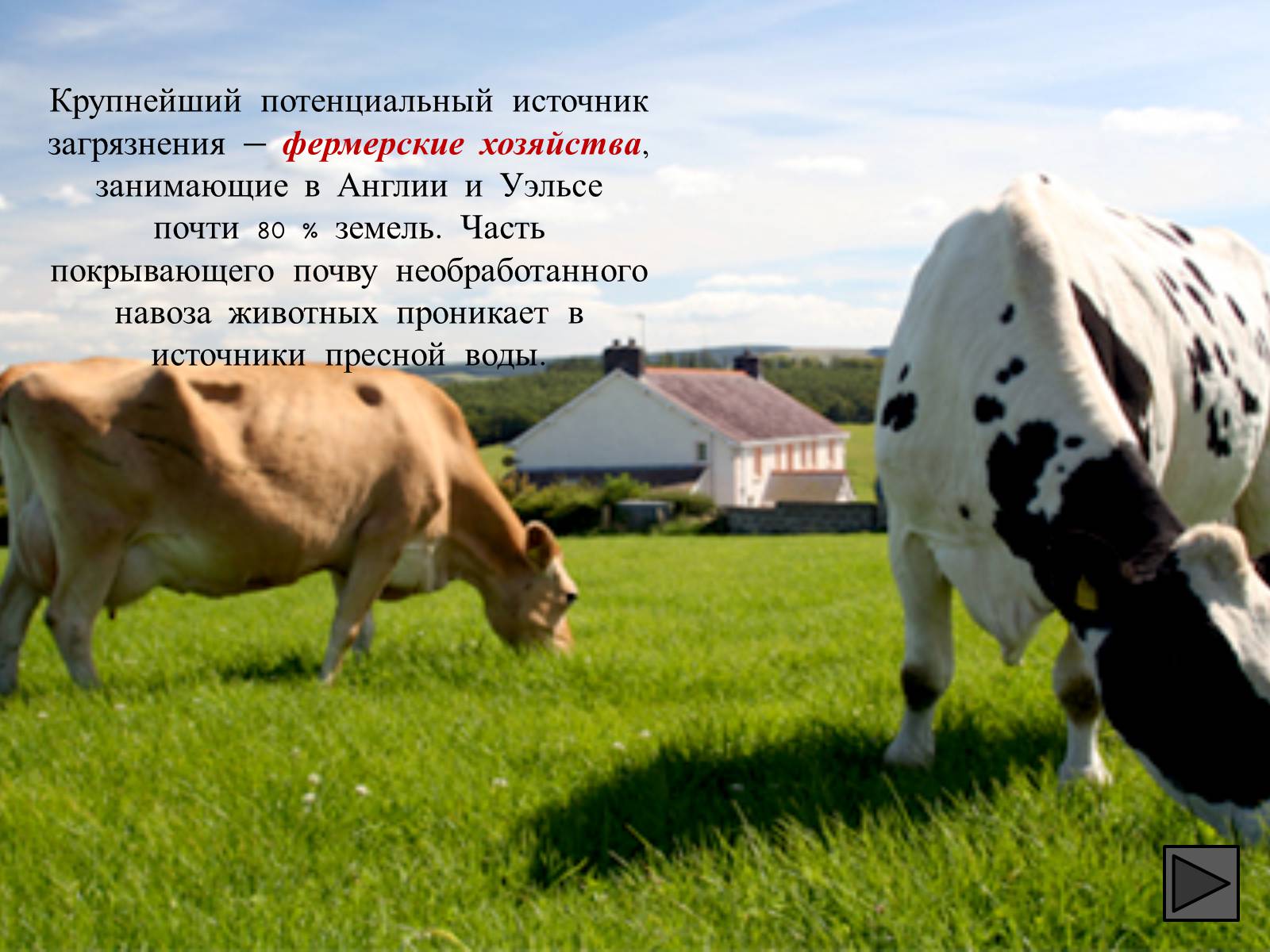 Презентація на тему «Глобальные экологические проблемы» (варіант 1) - Слайд #72