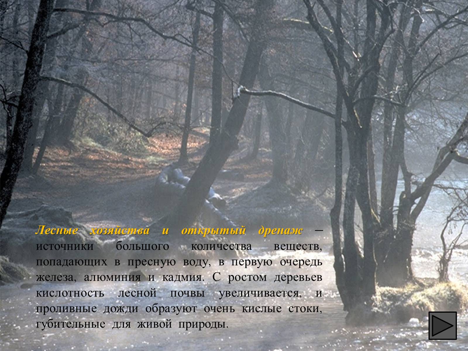 Презентація на тему «Глобальные экологические проблемы» (варіант 1) - Слайд #76