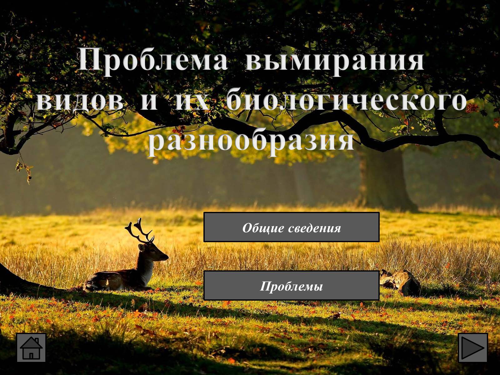 Презентація на тему «Глобальные экологические проблемы» (варіант 1) - Слайд #79