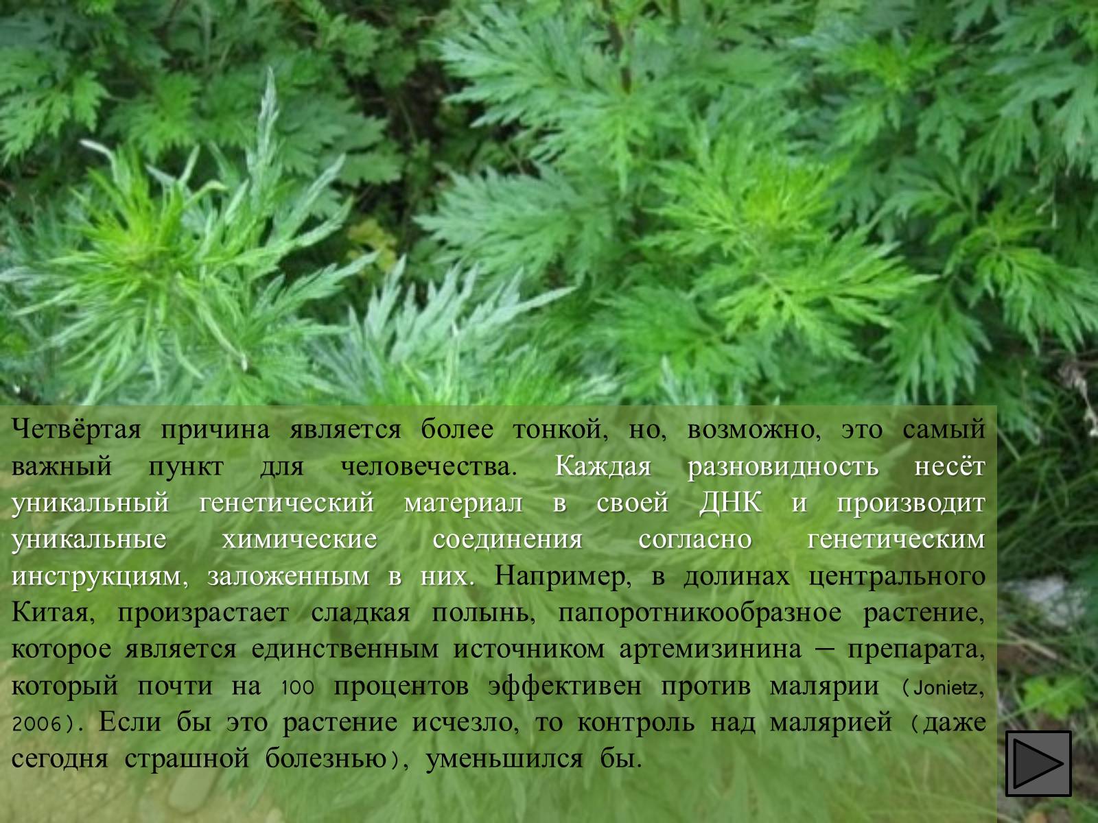 Презентація на тему «Глобальные экологические проблемы» (варіант 1) - Слайд #89