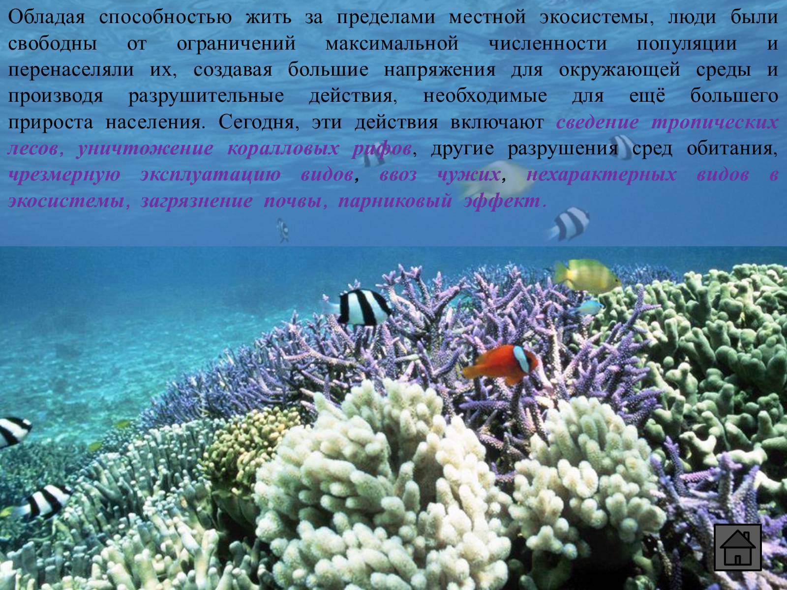 Презентація на тему «Глобальные экологические проблемы» (варіант 1) - Слайд #94