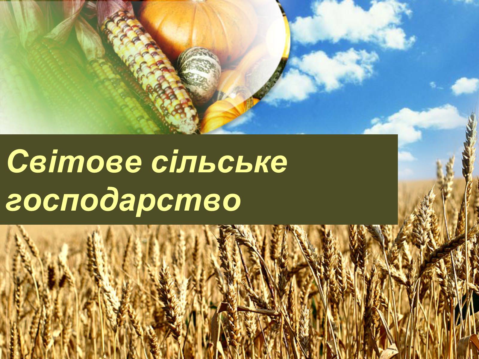 Презентація на тему «Світове сільське господарство» - Слайд #1