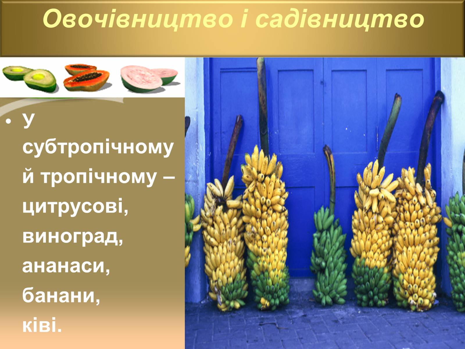 Презентація на тему «Світове сільське господарство» - Слайд #21