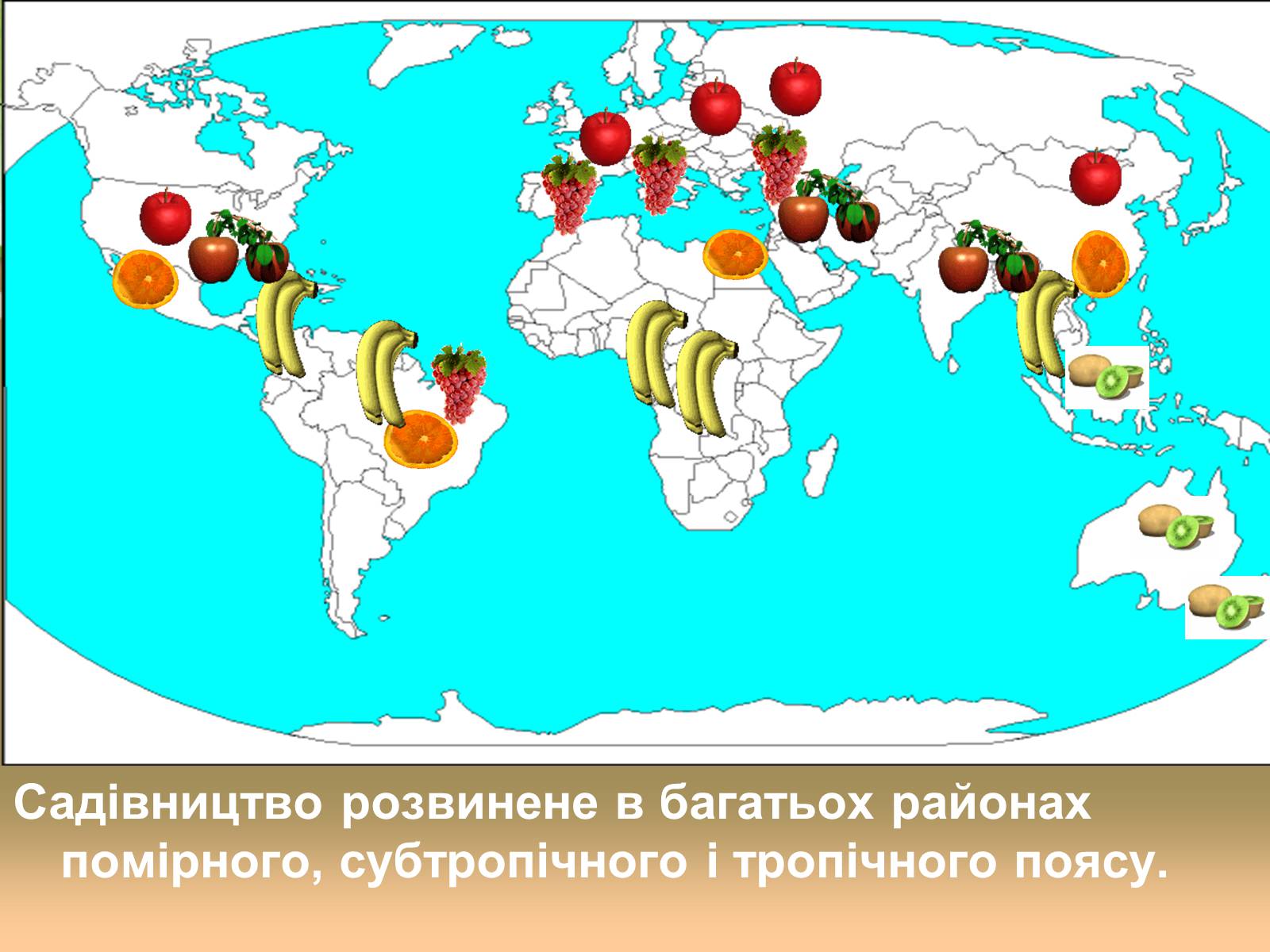 Презентація на тему «Світове сільське господарство» - Слайд #23