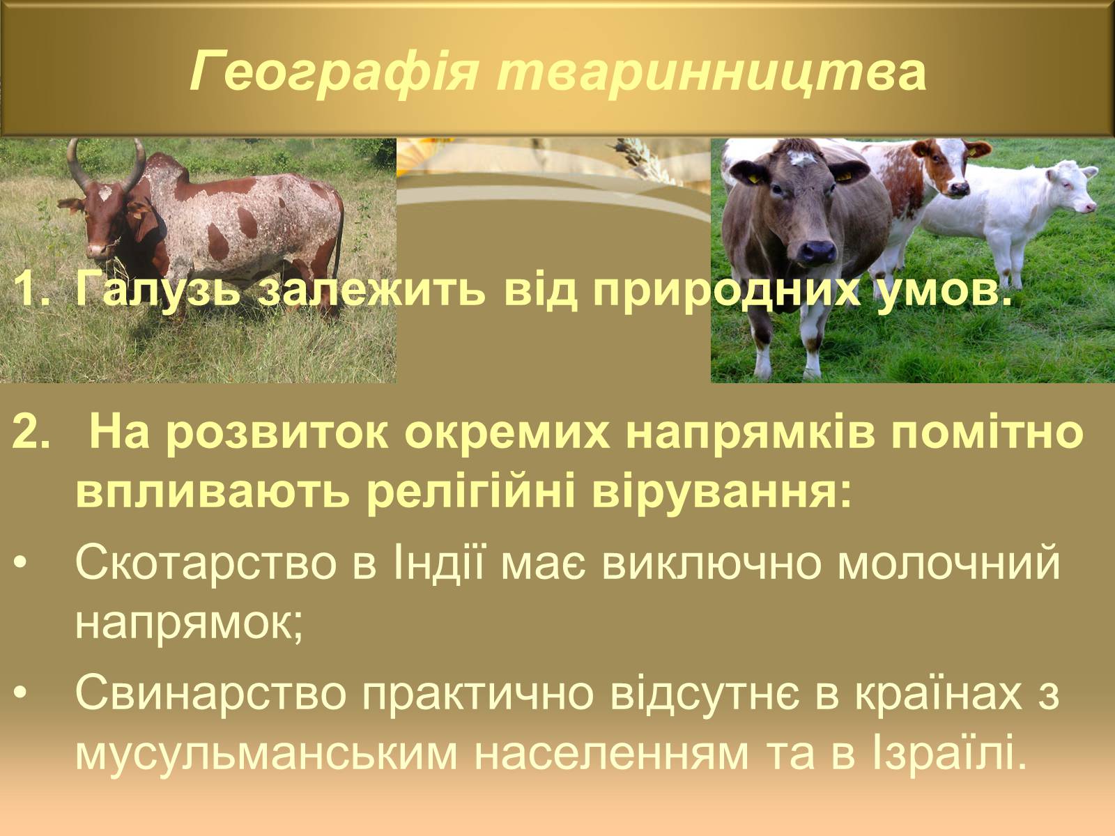 Презентація на тему «Світове сільське господарство» - Слайд #24