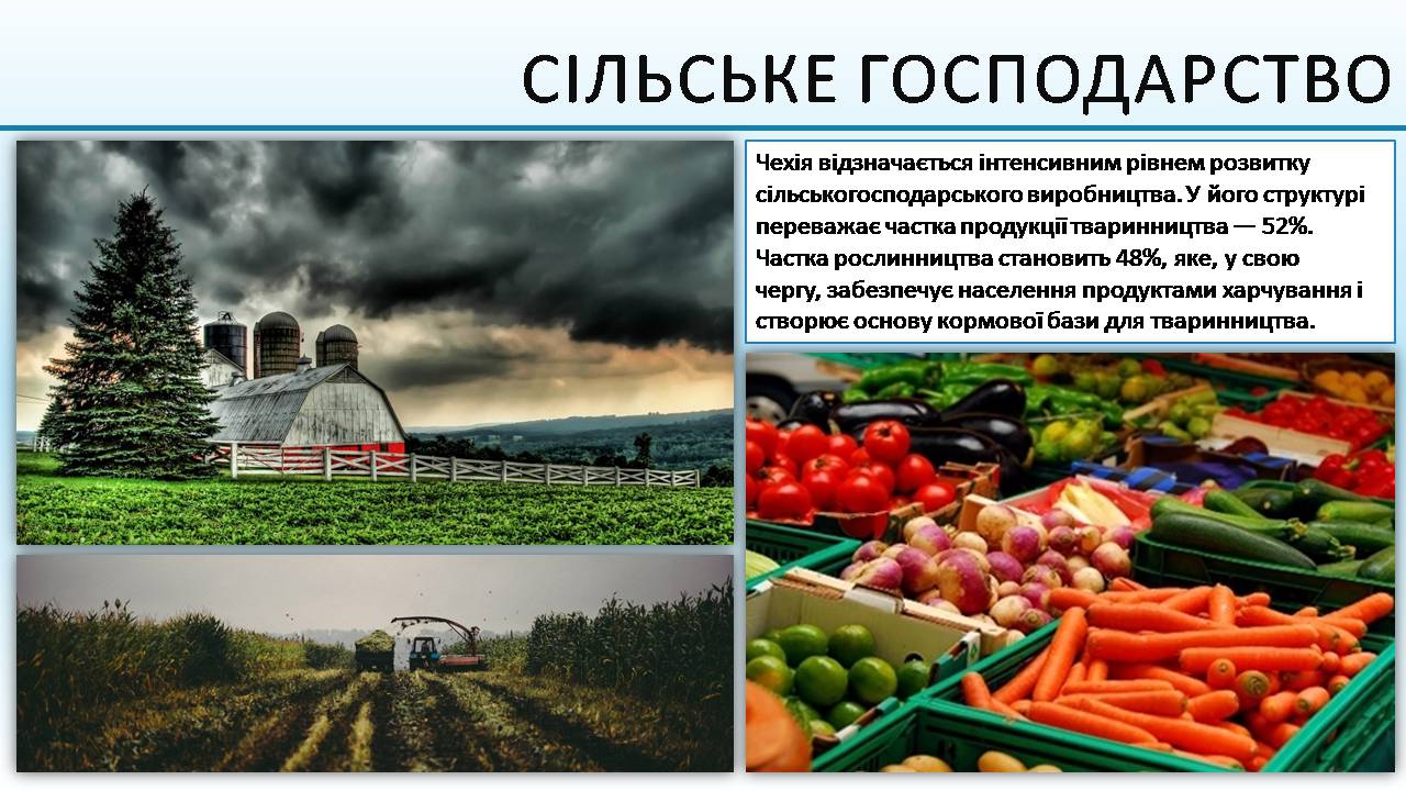 Презентація на тему «Чеська республіка» (варіант 3) - Слайд #16