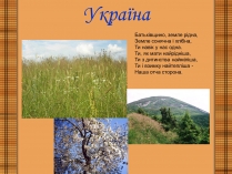 Презентація на тему «Україна» (варіант 4)