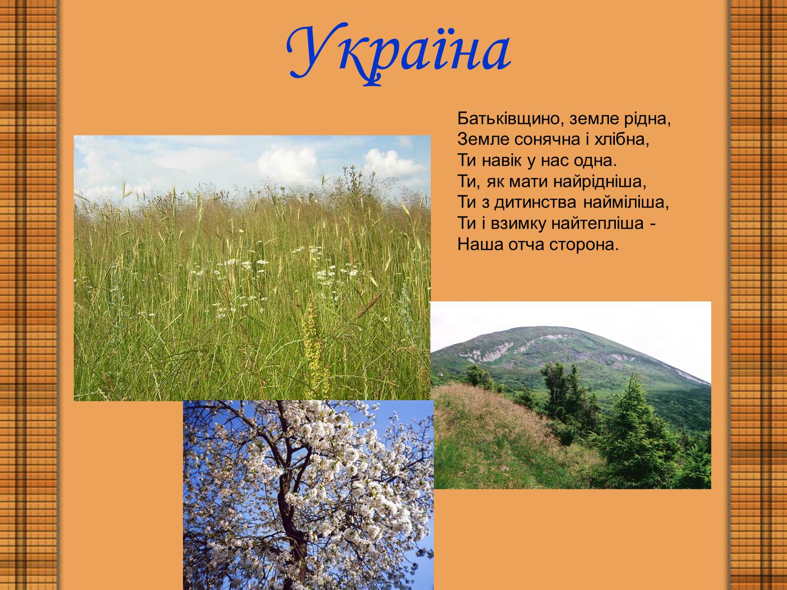 Презентація на тему «Україна» (варіант 4) - Слайд #1