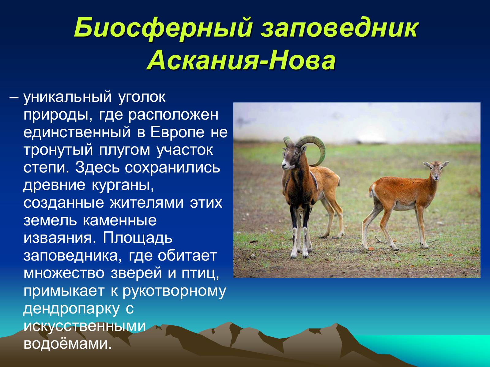 Презентація на тему «Заповедники Украины» (варіант 1) - Слайд #10