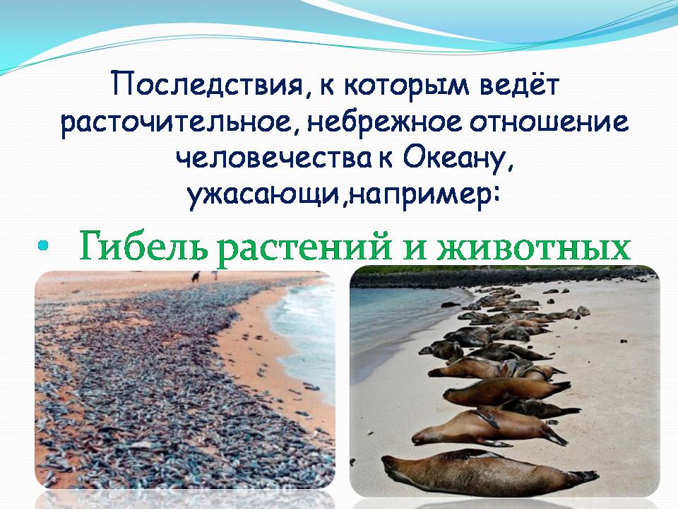 Презентація на тему «Влияние человека на загрязнение мирового океана» - Слайд #19