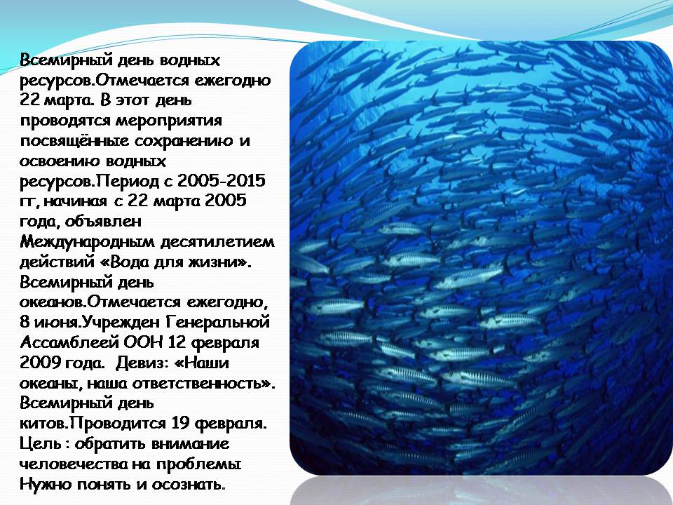 Загрязнение мирового океана презентация. Влияние человека на мировой океан. Отрицательное влияние человека на мировой океан. Сообщение на тему влияния человека на мировой океан. Как человек влияет на мировой океан.