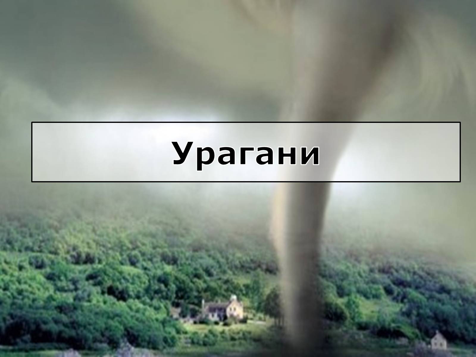 Презентація на тему «Вирубування лісів» - Слайд #10