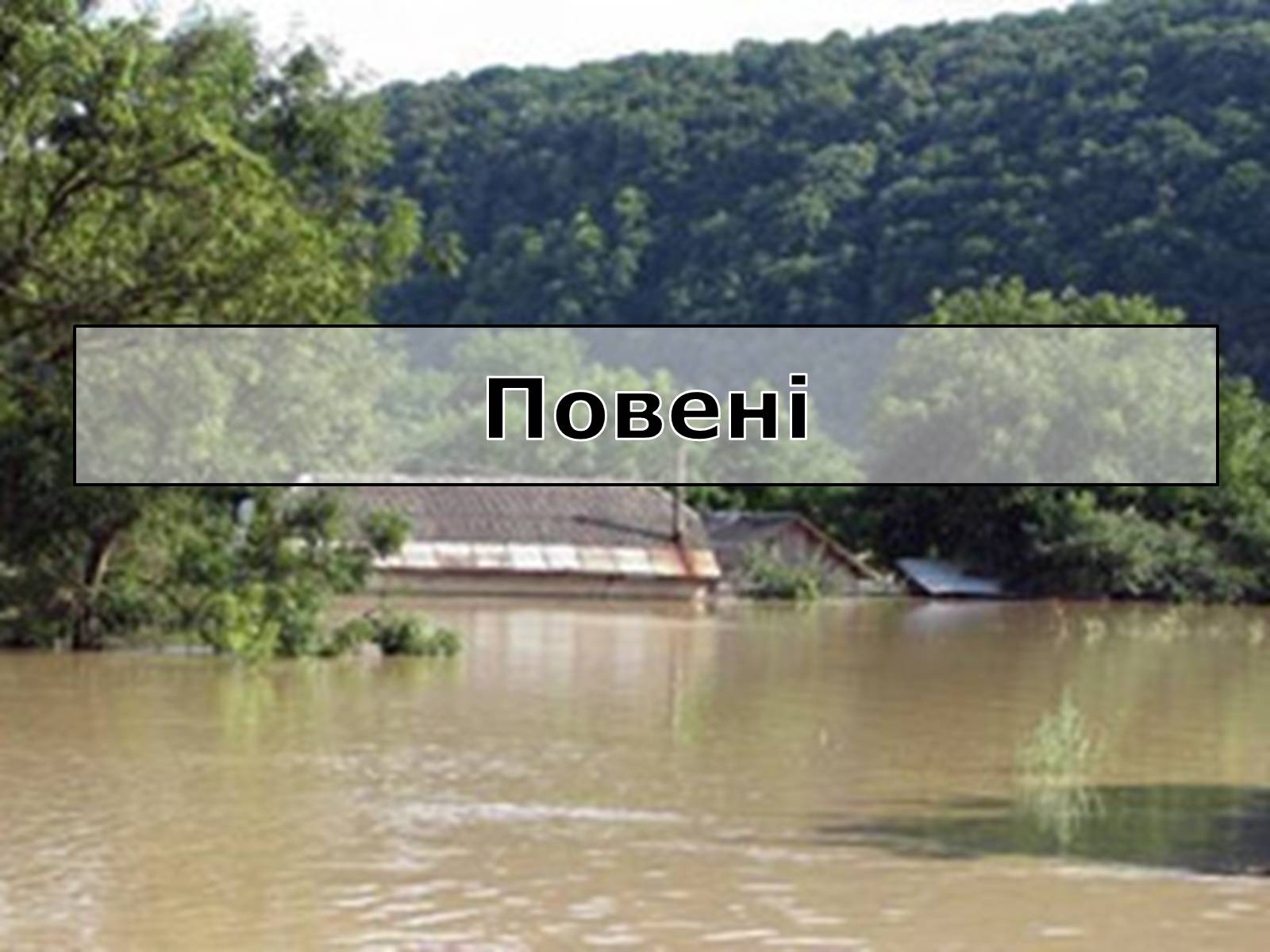 Презентація на тему «Вирубування лісів» - Слайд #11