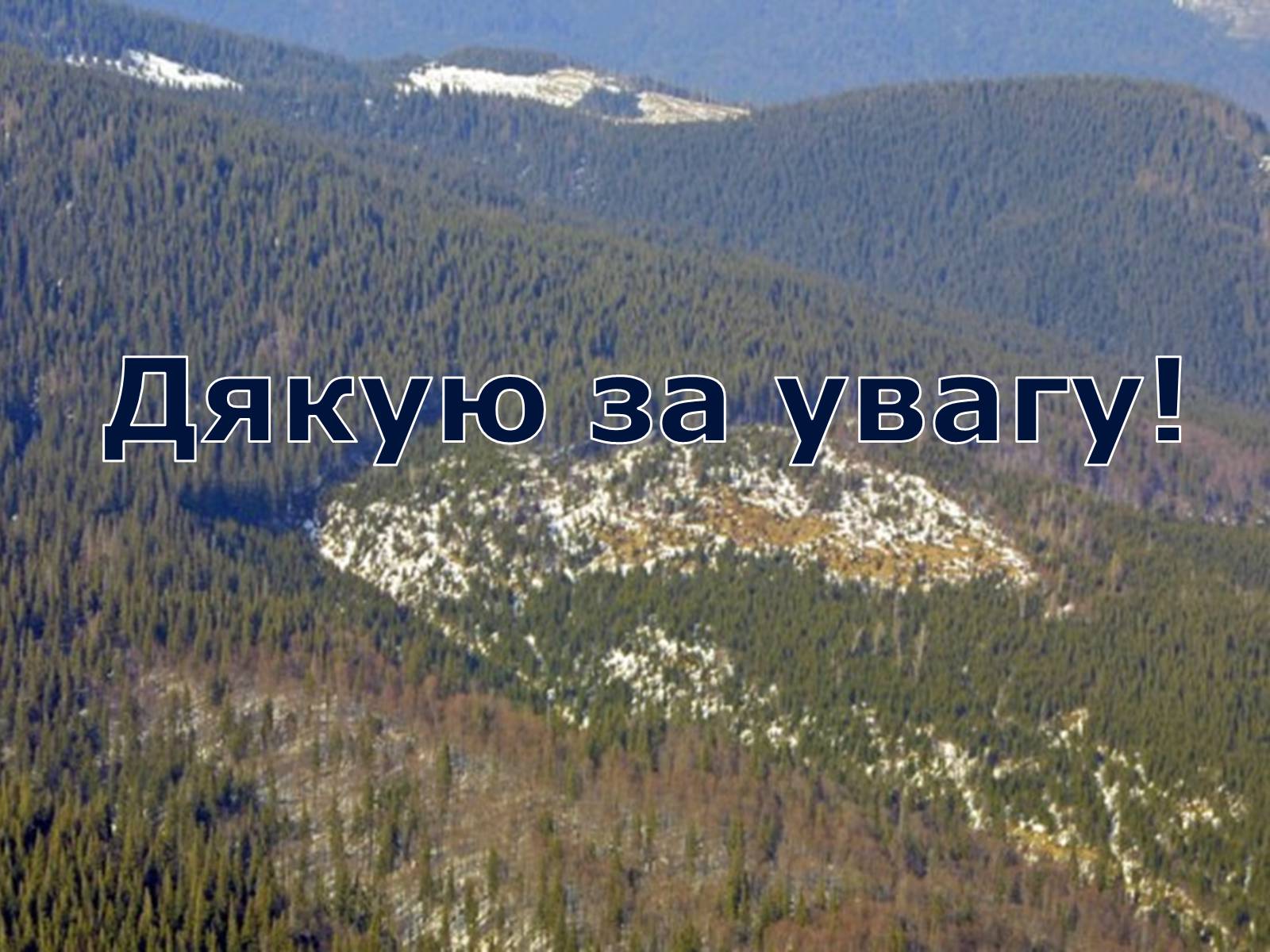 Презентація на тему «Вирубування лісів» - Слайд #21