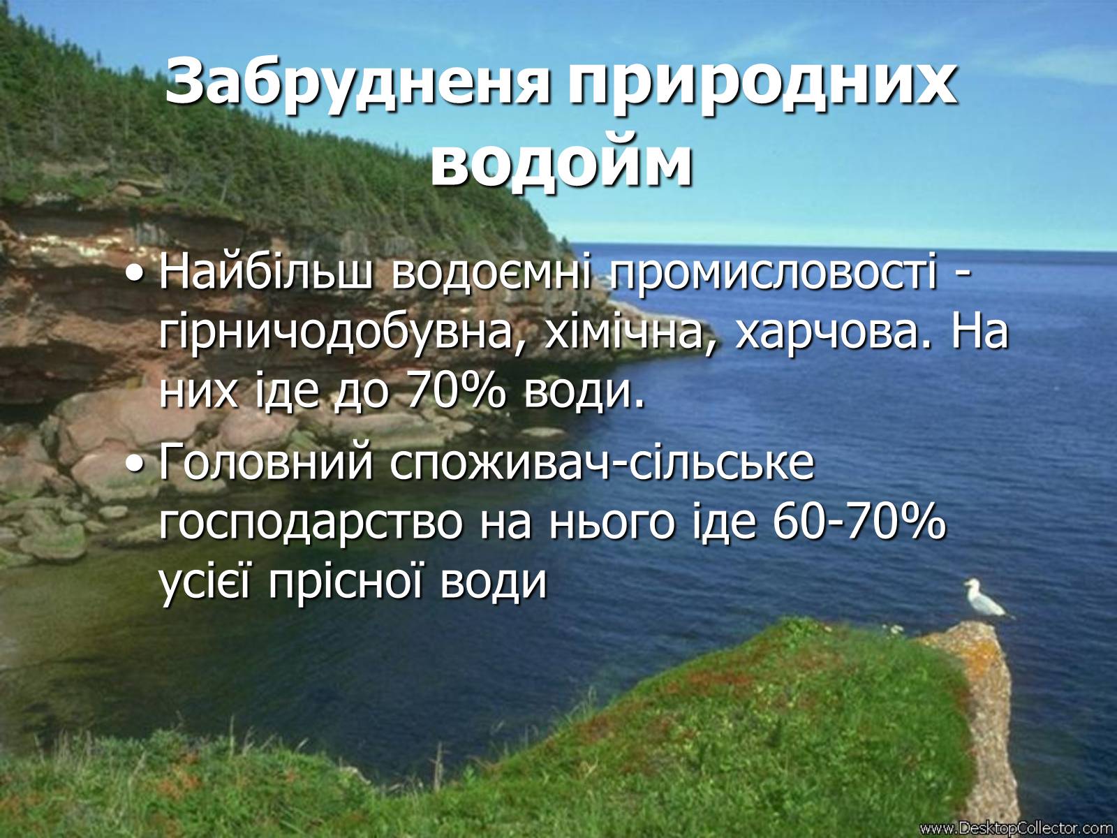 Презентація на тему «Забруднення природних водойм» - Слайд #6