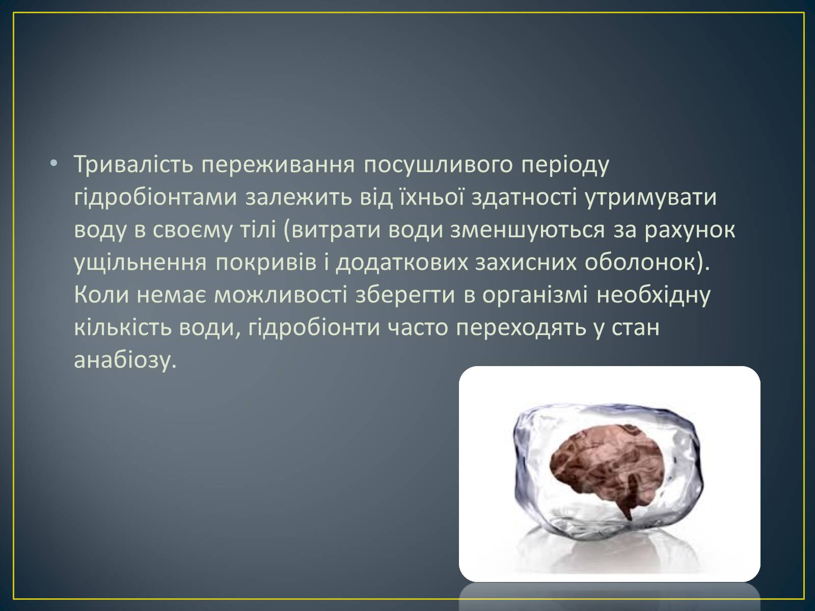 Презентація на тему «Адаптація гідробіонтів до пересихання вдойм» - Слайд #15