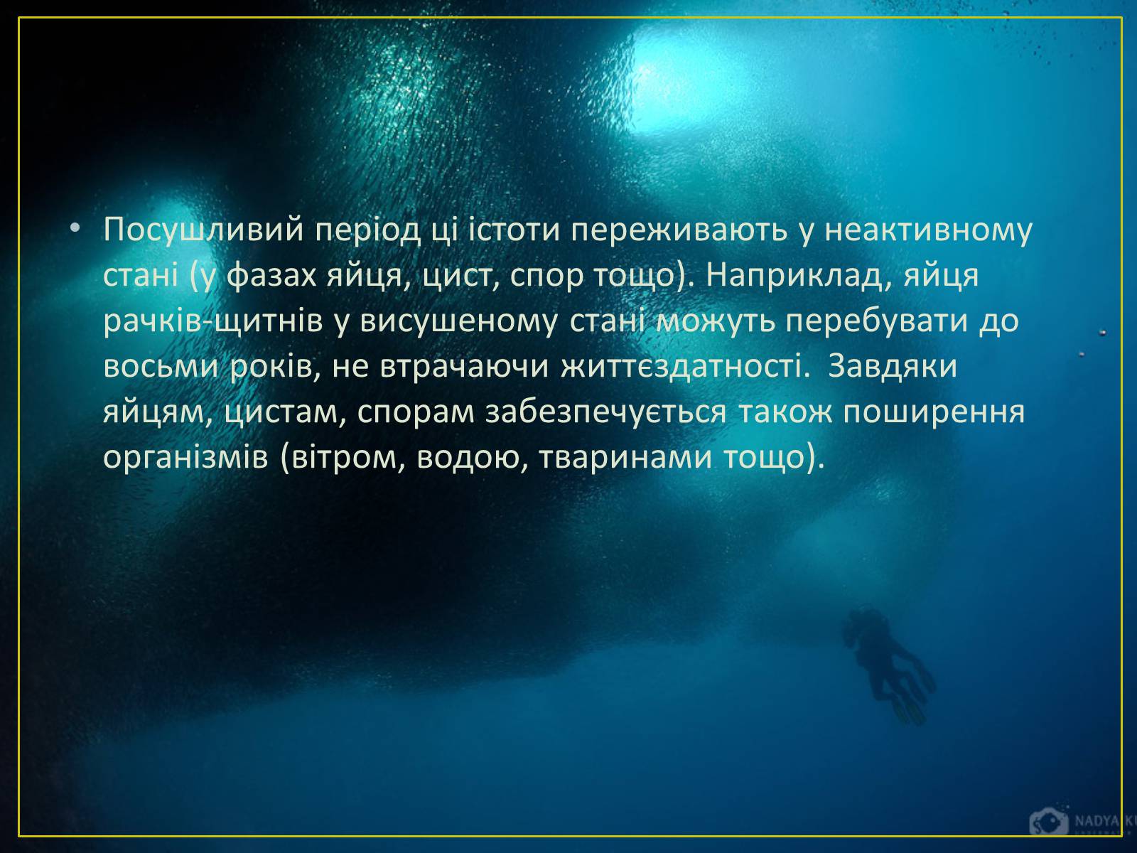 Презентація на тему «Адаптація гідробіонтів до пересихання вдойм» - Слайд #7