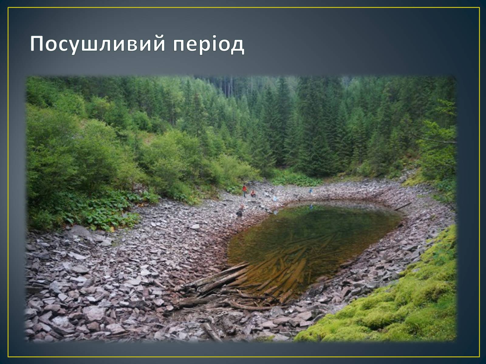 Презентація на тему «Адаптація гідробіонтів до пересихання вдойм» - Слайд #8