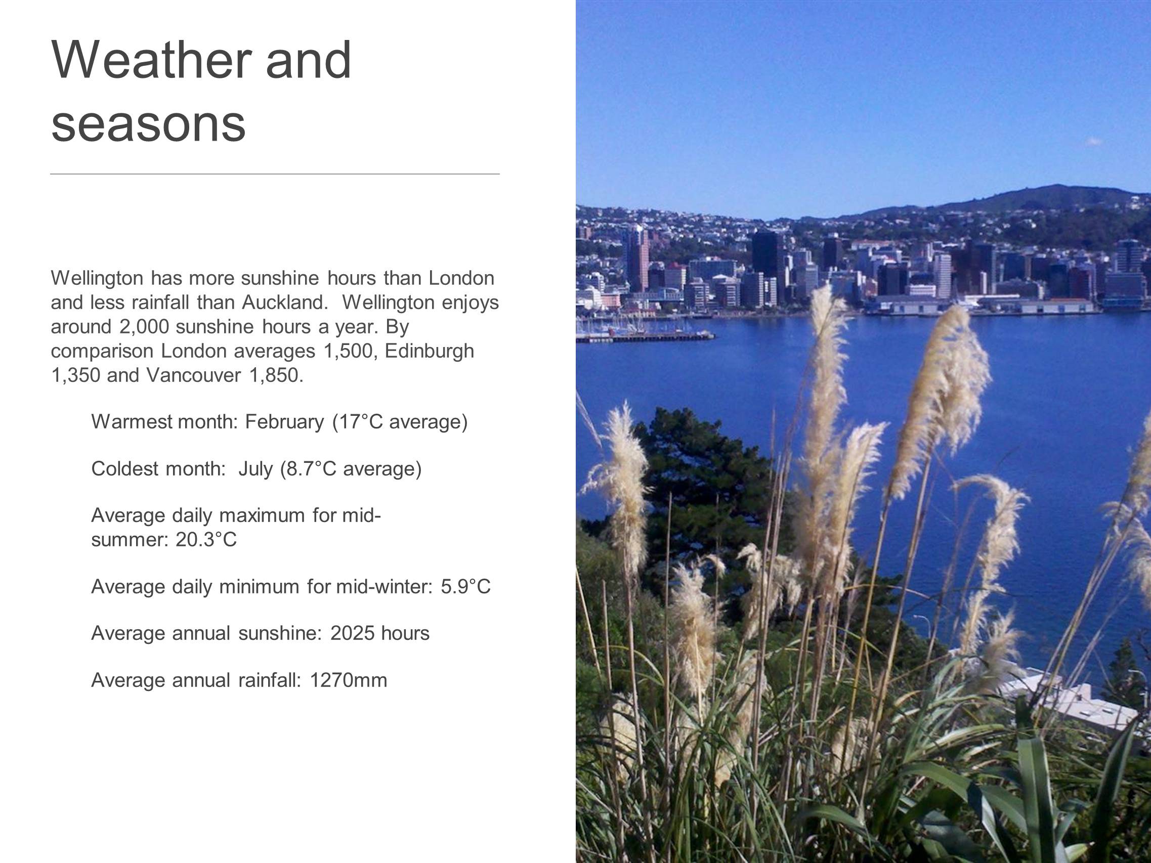 Презентація на тему «Population of Wellington» - Слайд #7