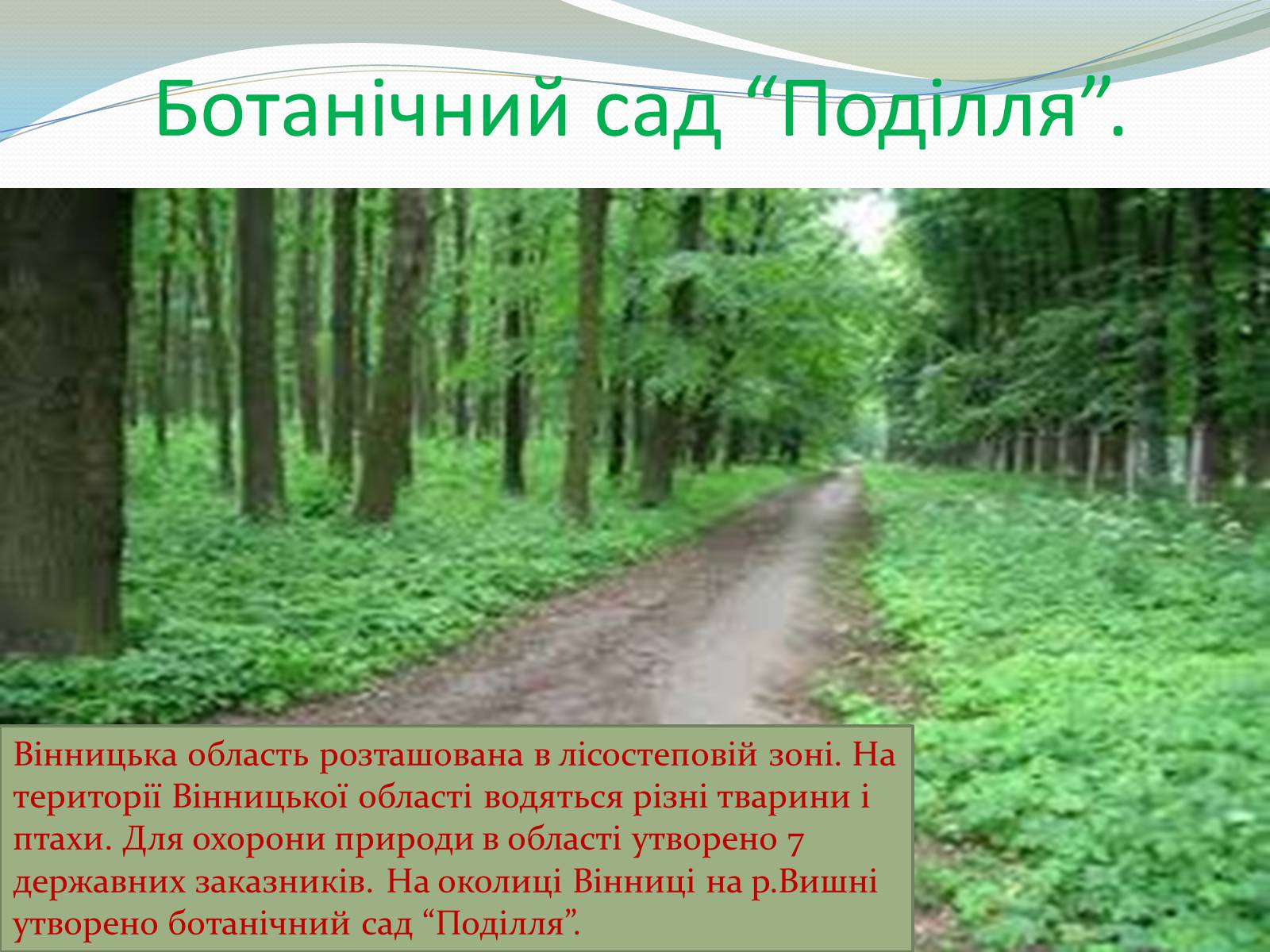 Презентація на тему «Вінницька Область» - Слайд #8