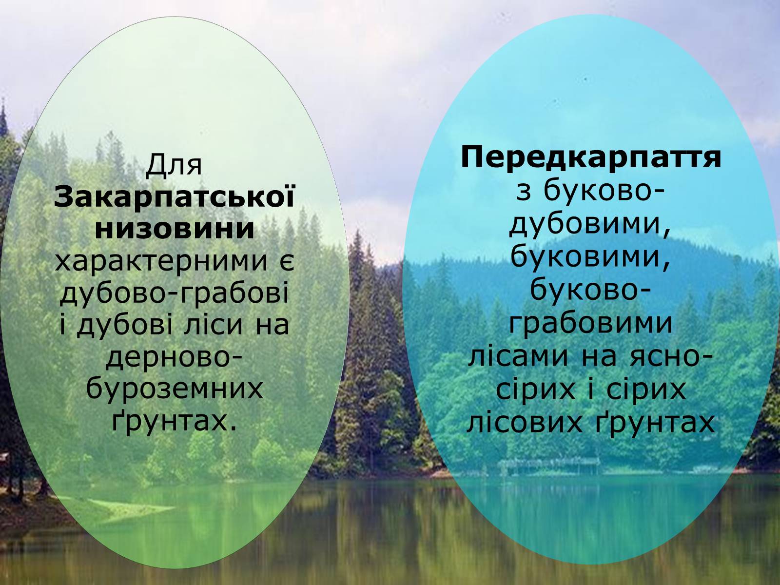 Презентація на тему «Українські Карпати» (варіант 4) - Слайд #9