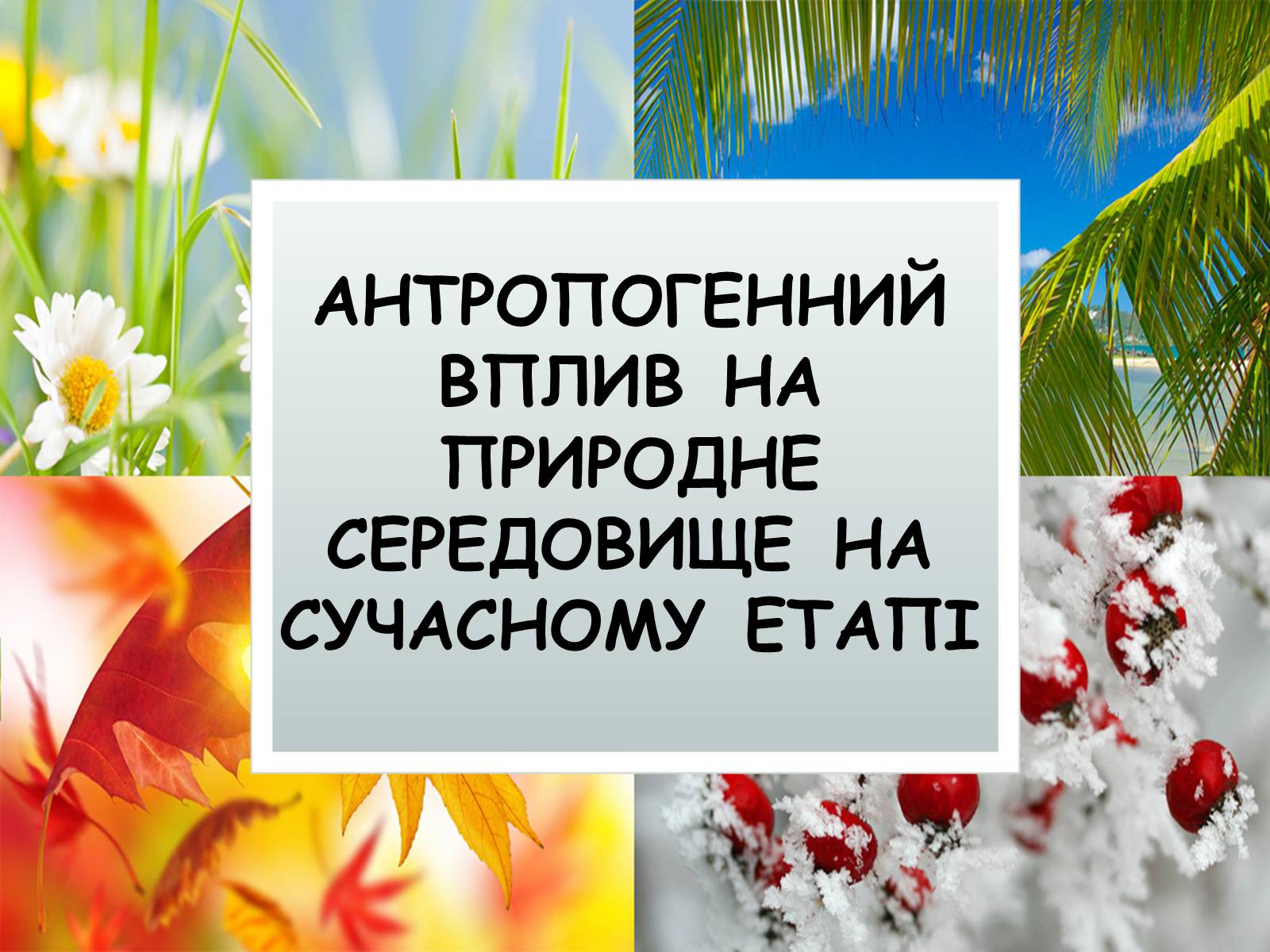 Презентація на тему «Антропогенний вплив на природне середовище на сучасному етапі» - Слайд #1