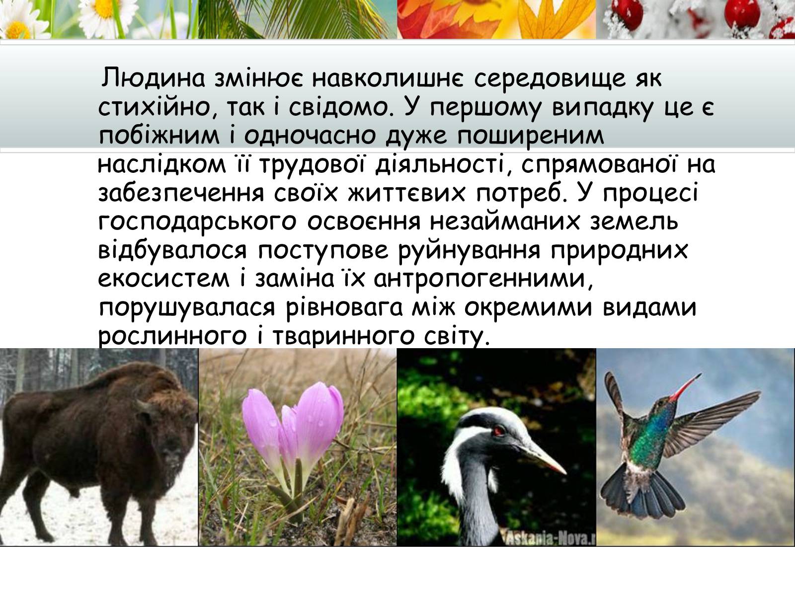 Презентація на тему «Антропогенний вплив на природне середовище на сучасному етапі» - Слайд #2