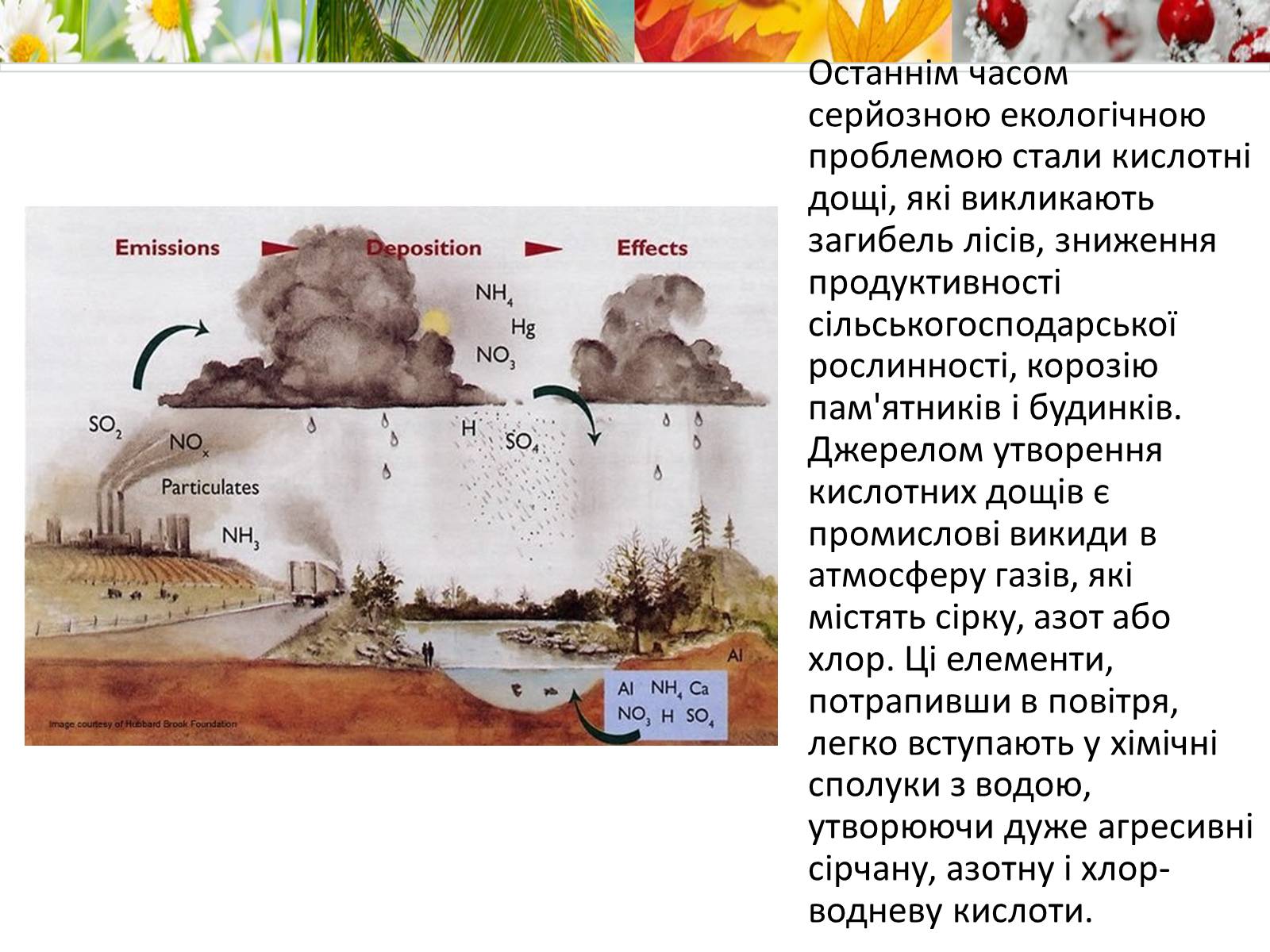 Презентація на тему «Антропогенний вплив на природне середовище на сучасному етапі» - Слайд #5