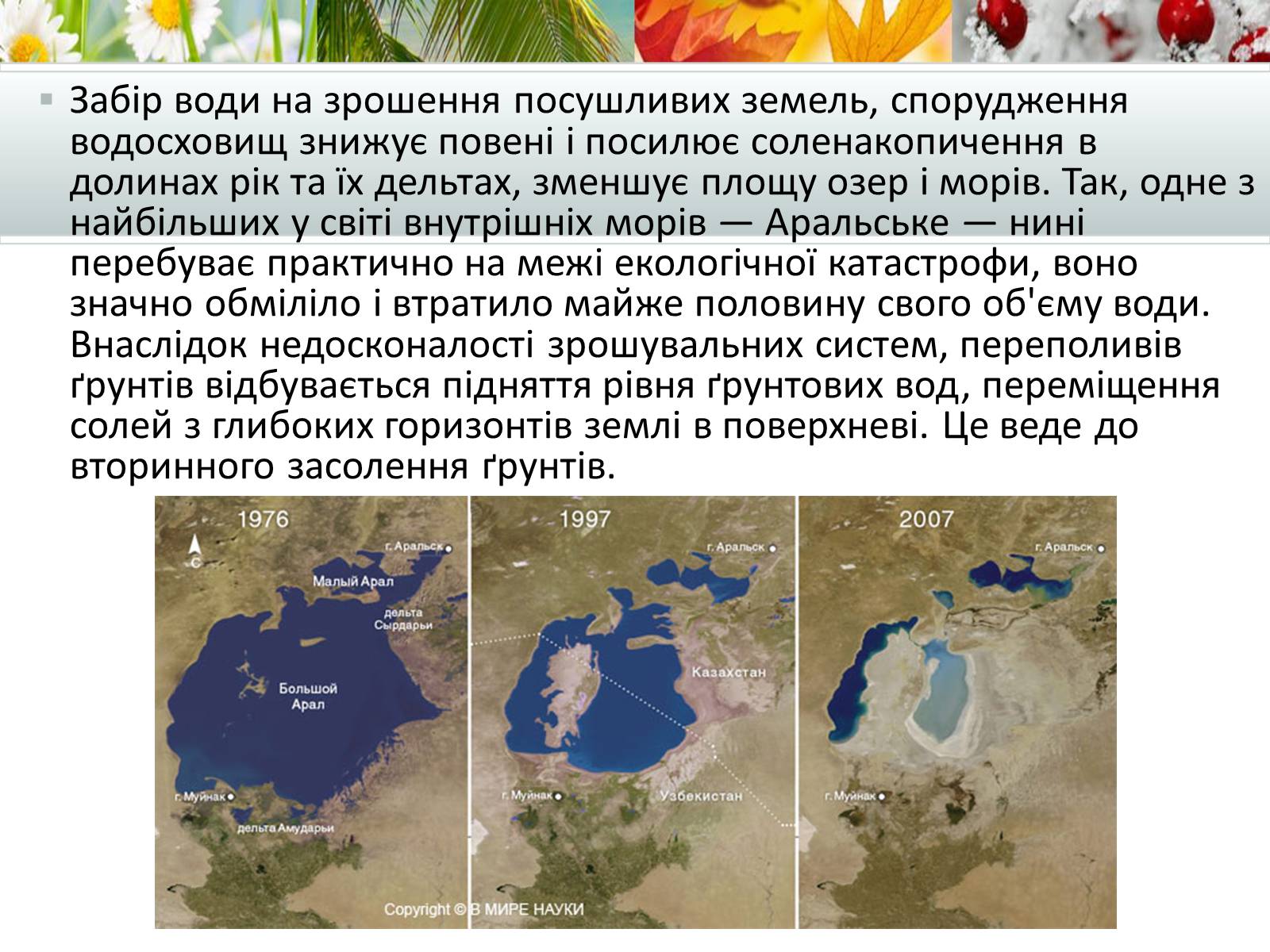 Презентація на тему «Антропогенний вплив на природне середовище на сучасному етапі» - Слайд #7