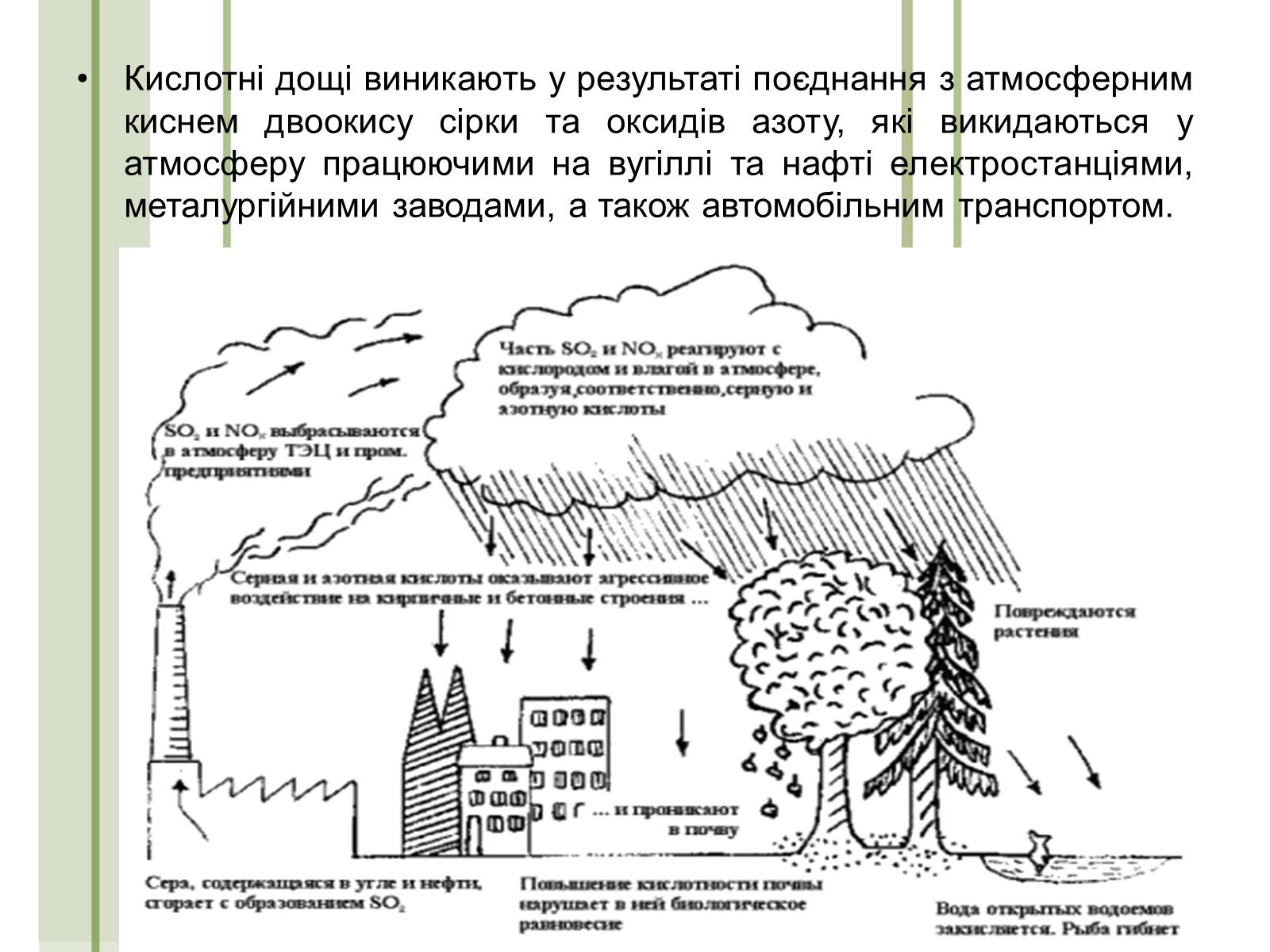 Презентація на тему «Кислотні дощі та азонові дири» - Слайд #5