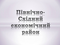 Презентація на тему «Північно-Східний економічний район» (варіант 3)